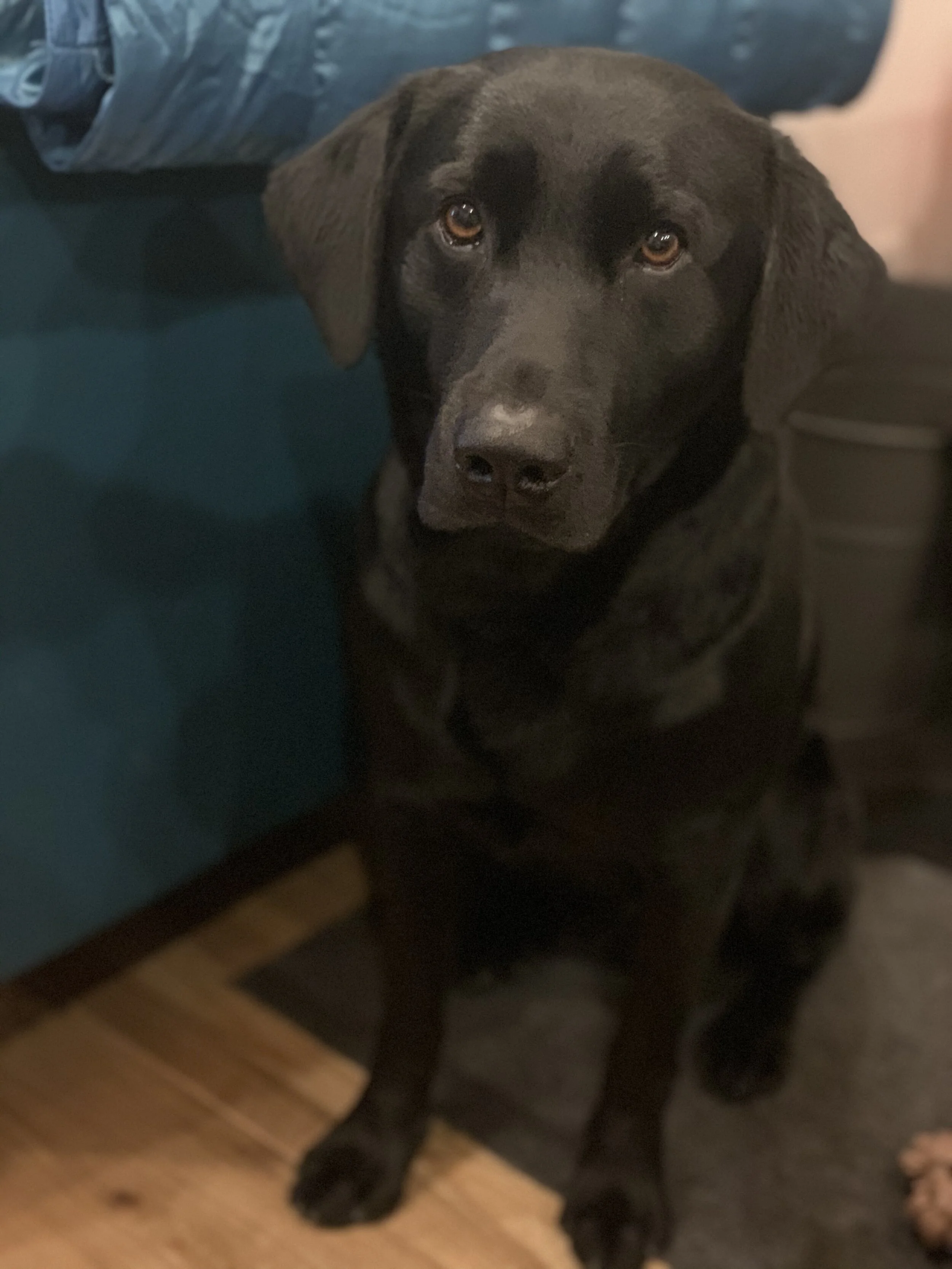 Photo 2020-02-22 17 32 52.jpg