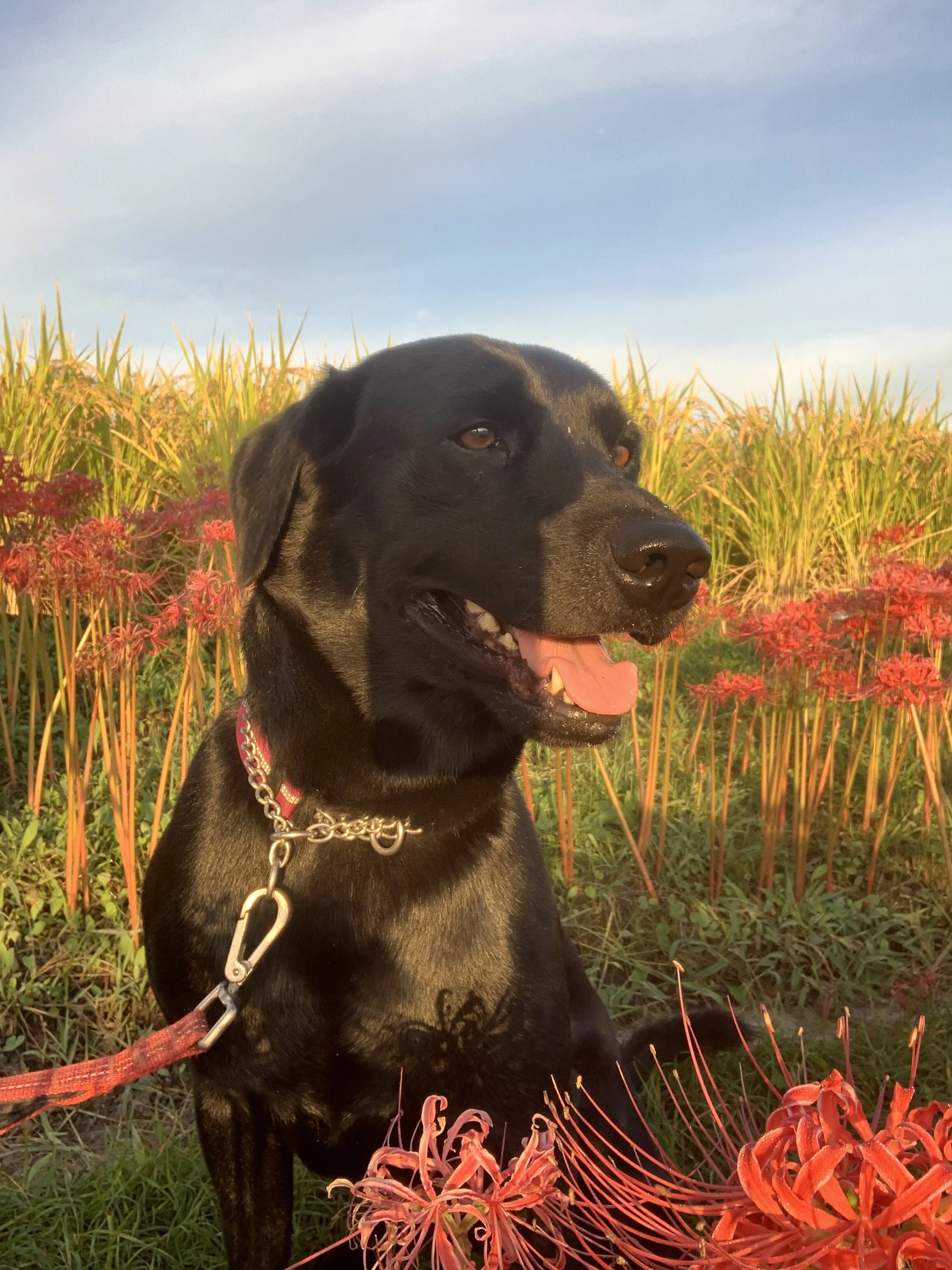 Photo 2020-09-30 6 20 09.jpg