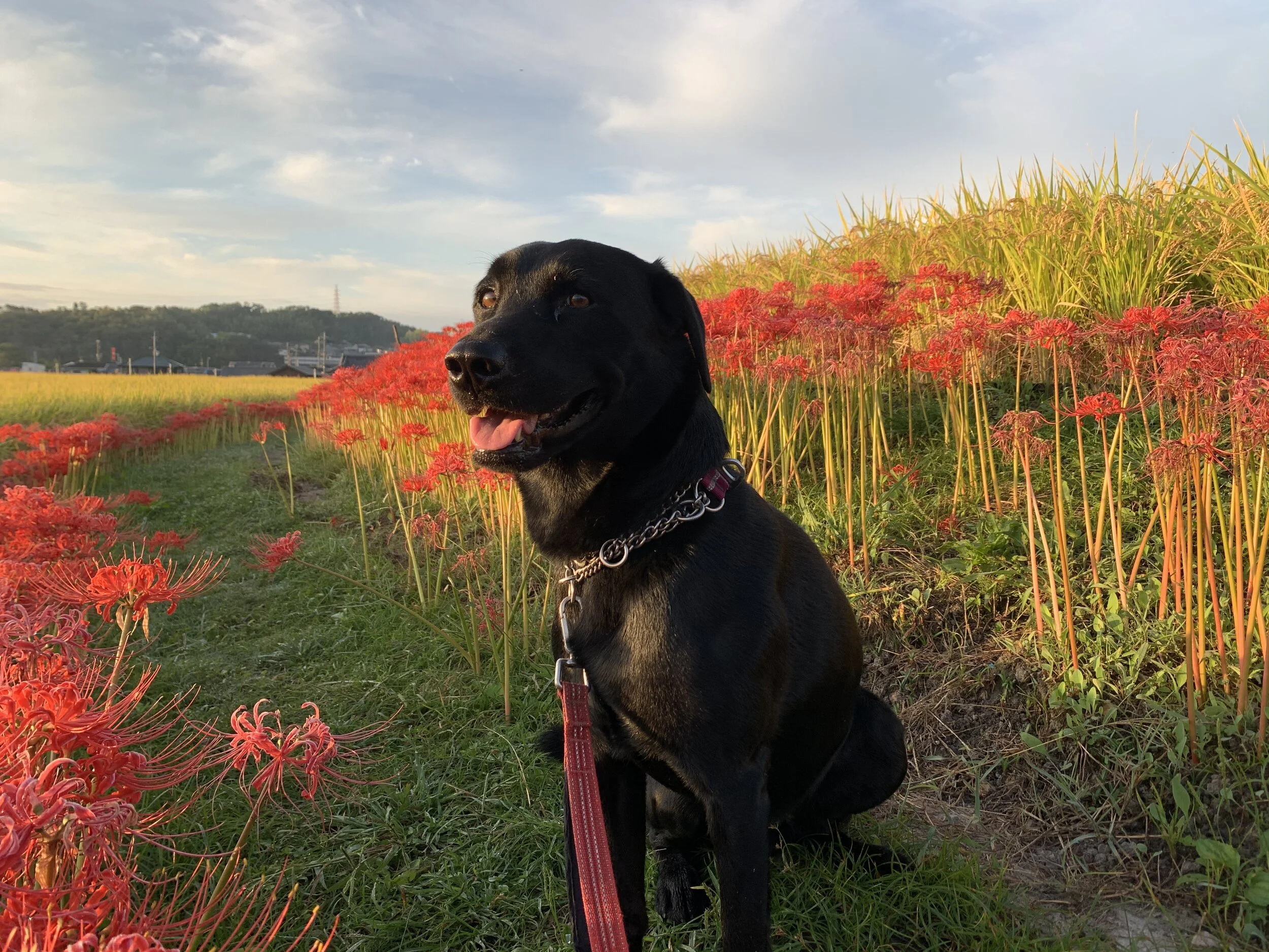Photo 2020-09-30 6 19 39.jpg