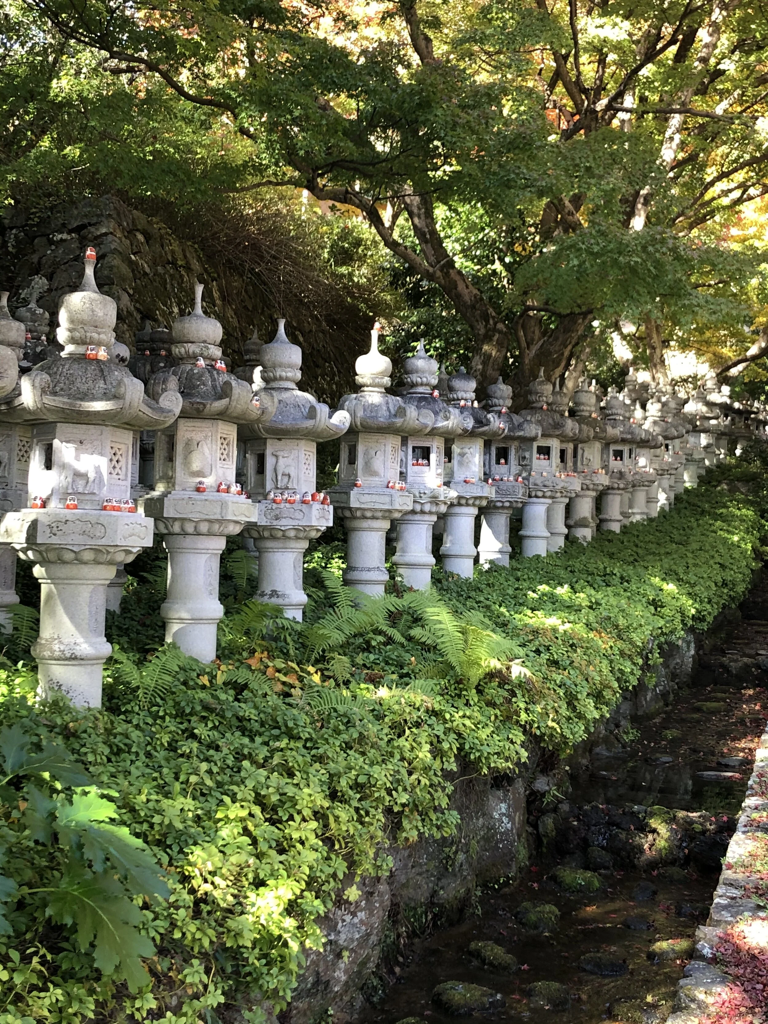 Photo 2020-11-14 10 29 18.jpg