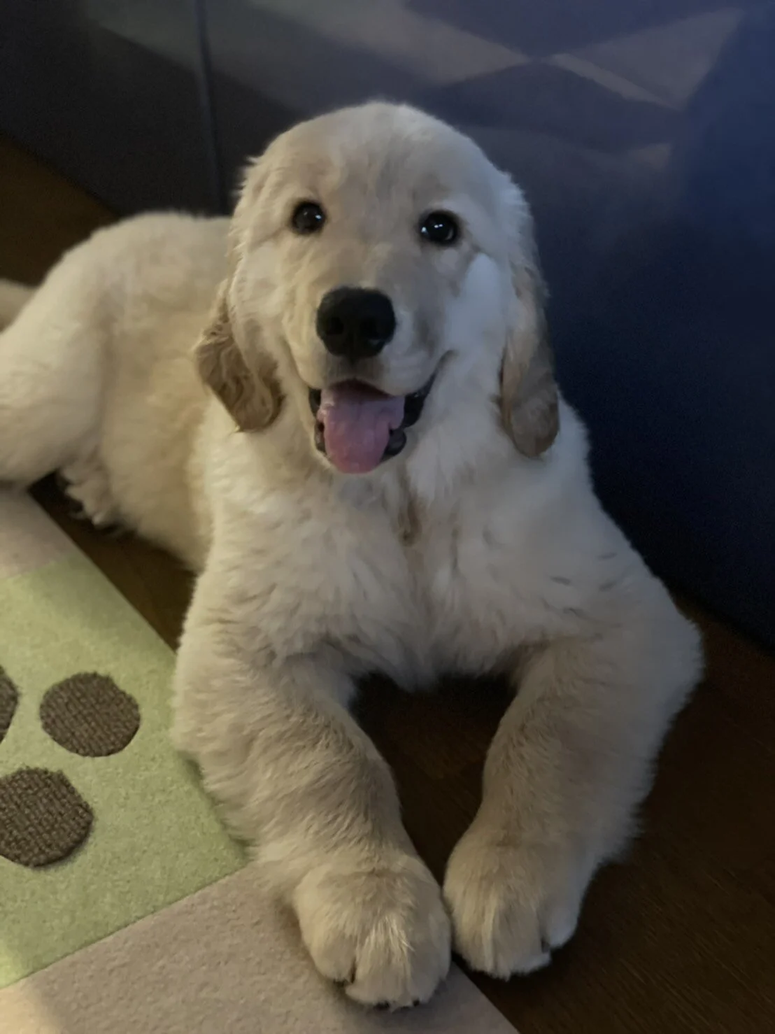 Photo 2021-08-31 19 16 00.jpg