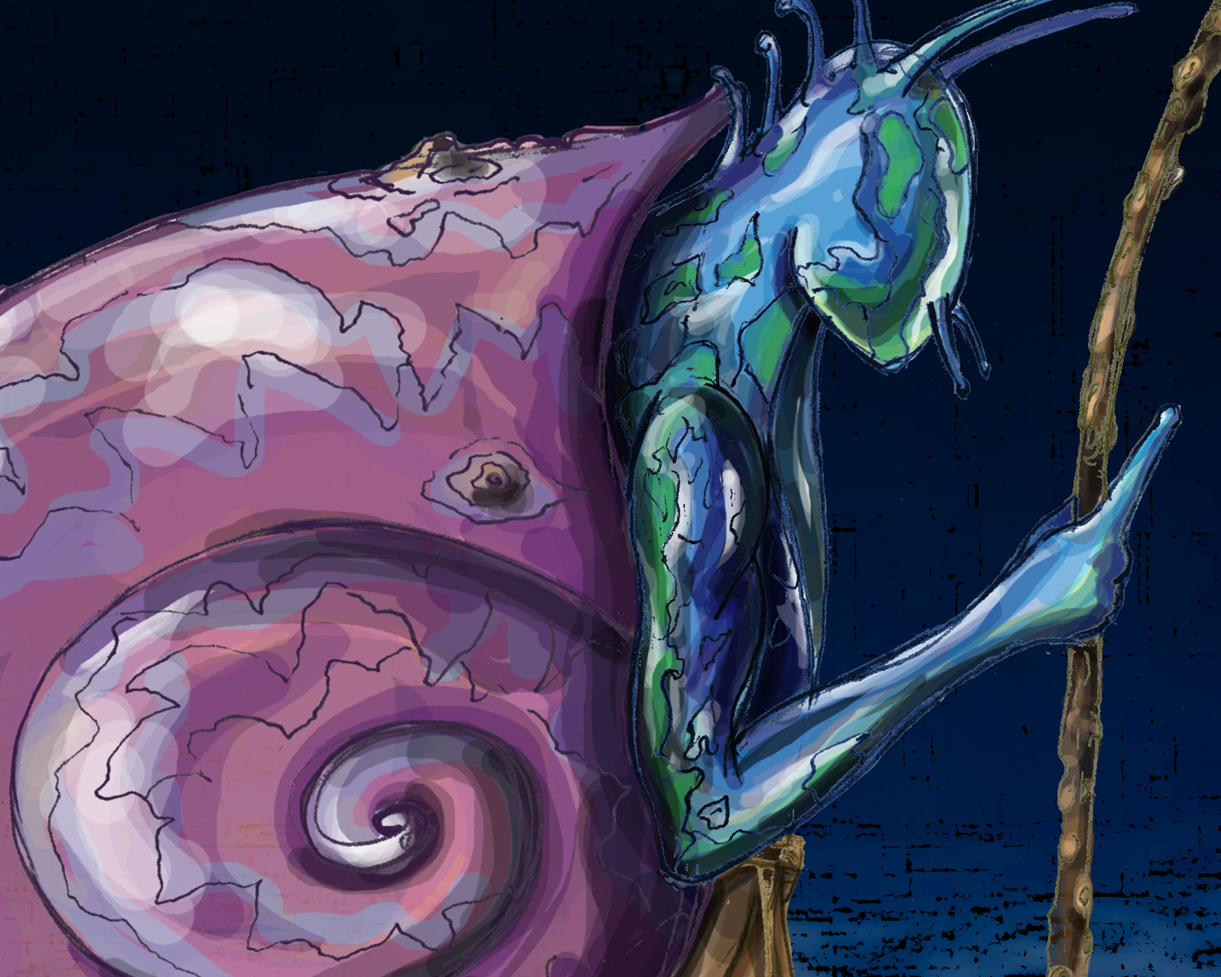 illustration_11.png