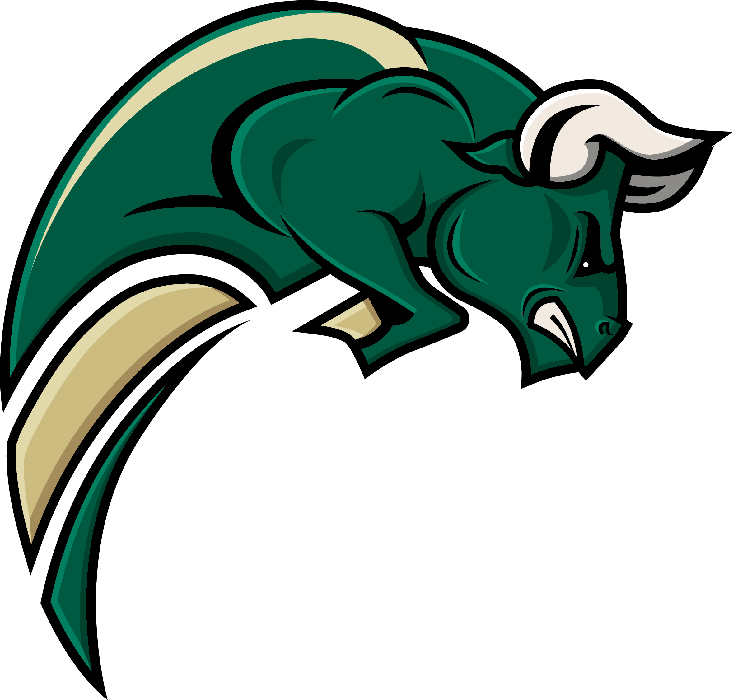 University of South Florida (USF) - My daughter's school