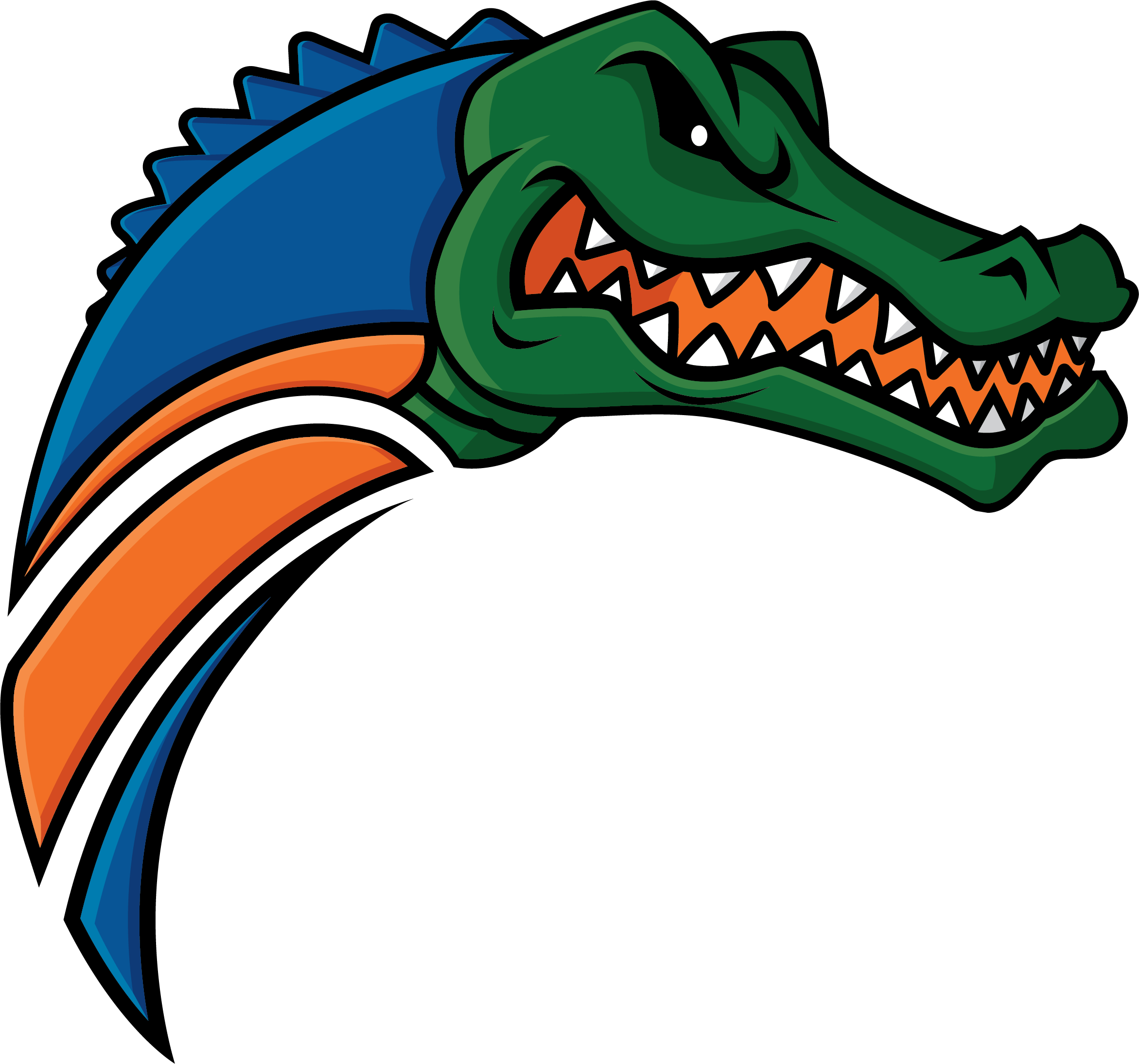 University of Florida (UF) - My nieces' school