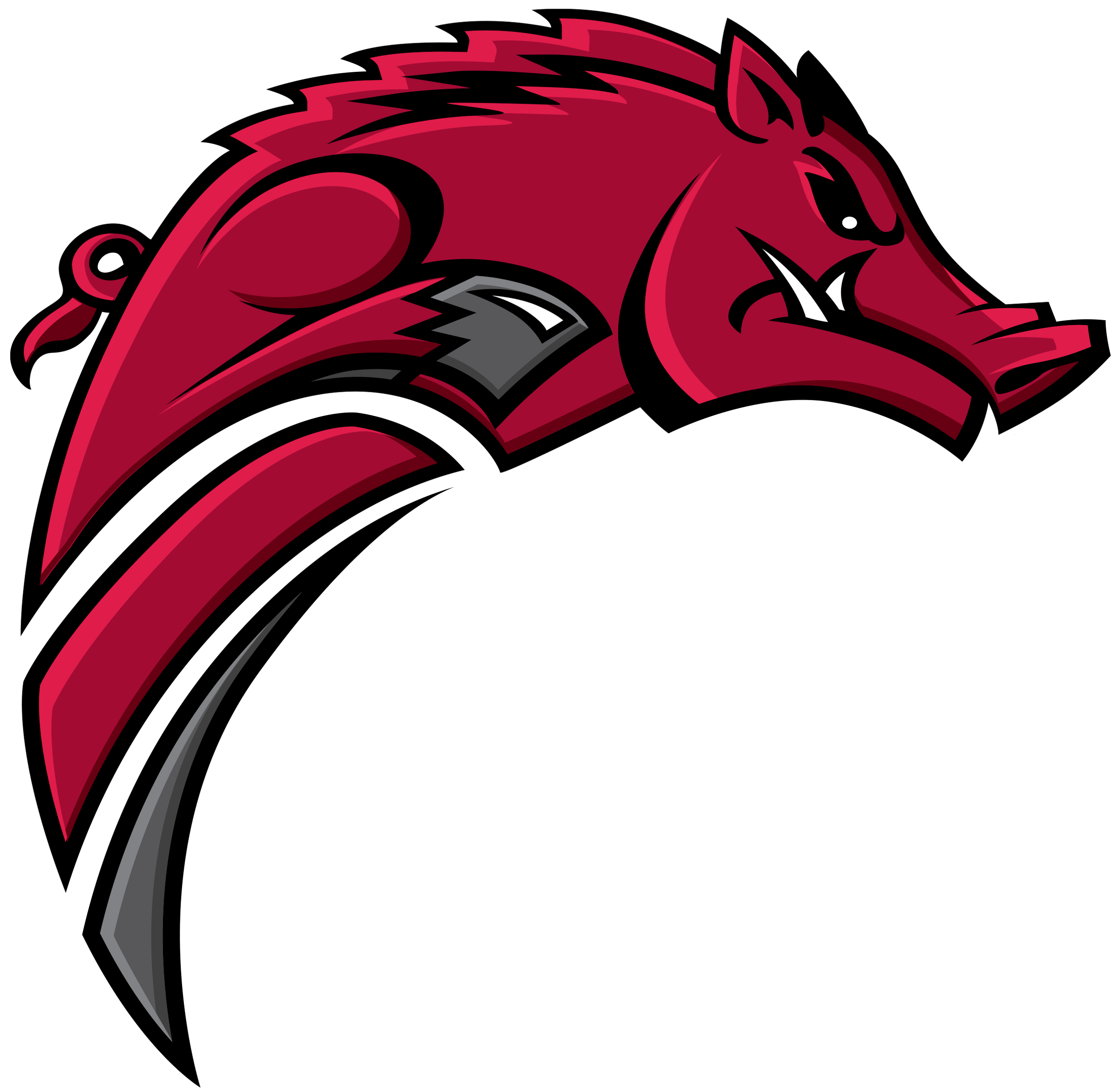 University of Arkansas