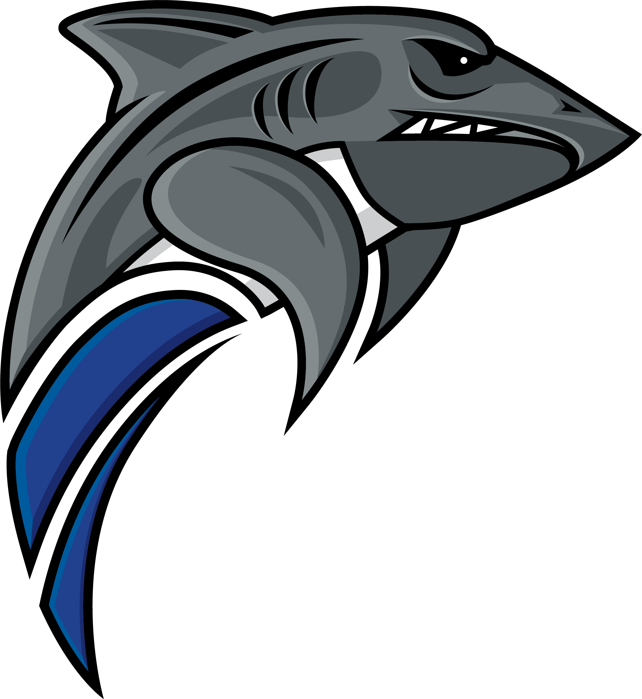 Nova Southeastern University (NSU)