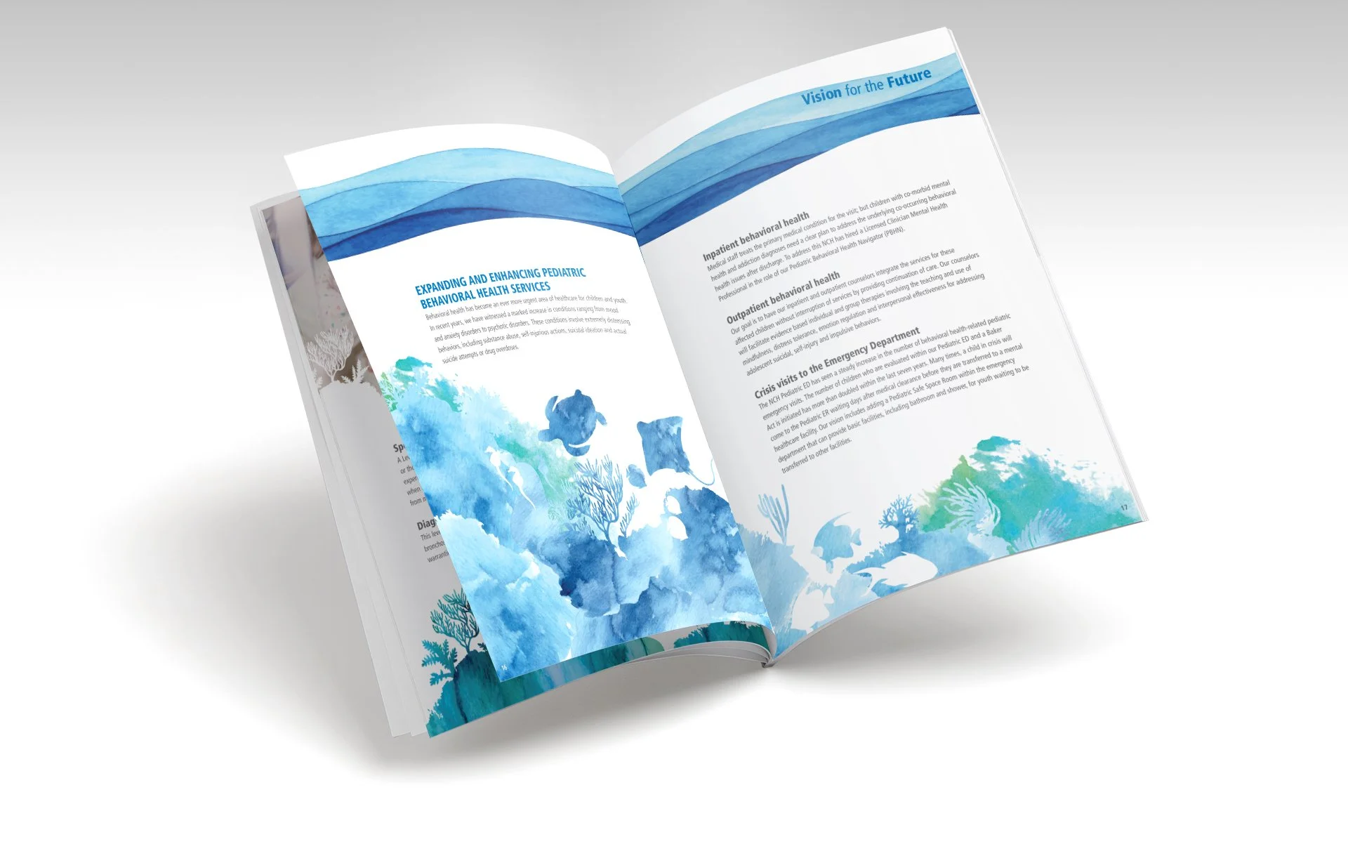 NCH_Peds_Brochure_Mock.jpg