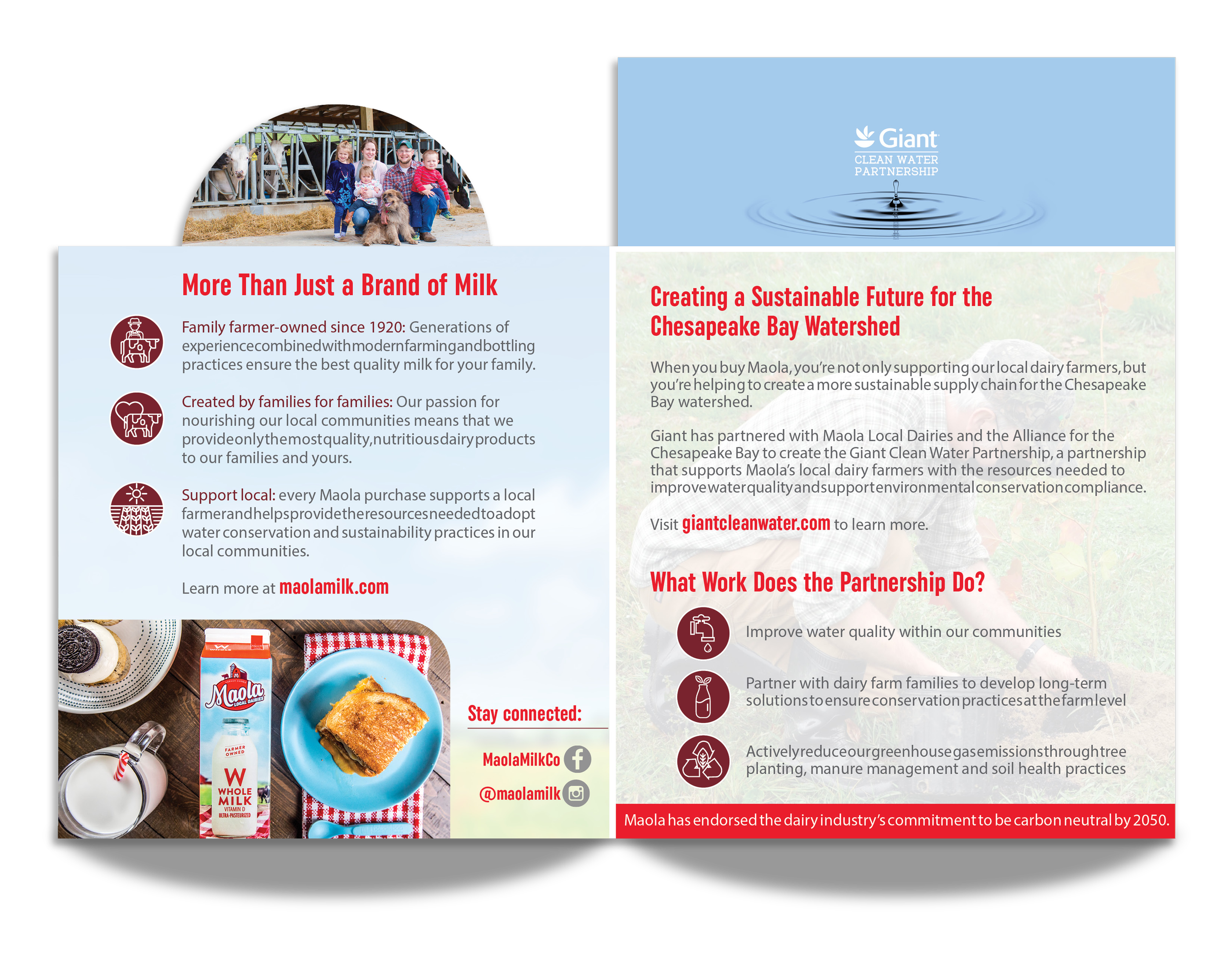 MDVA_DieCut_Flyer4_Back.png
