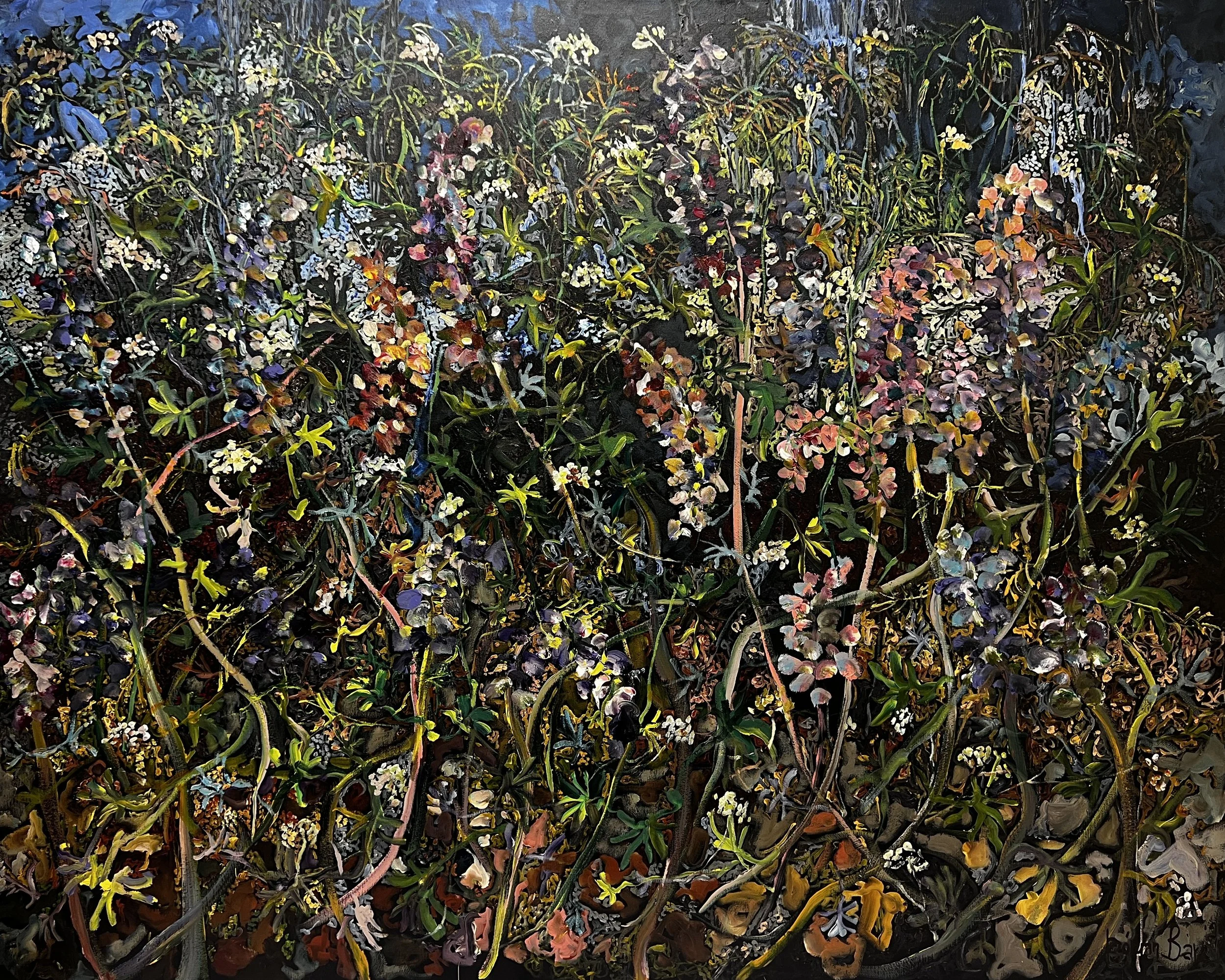 Lupinus nootkatensis and anthriscus sylvestris in sand dunes