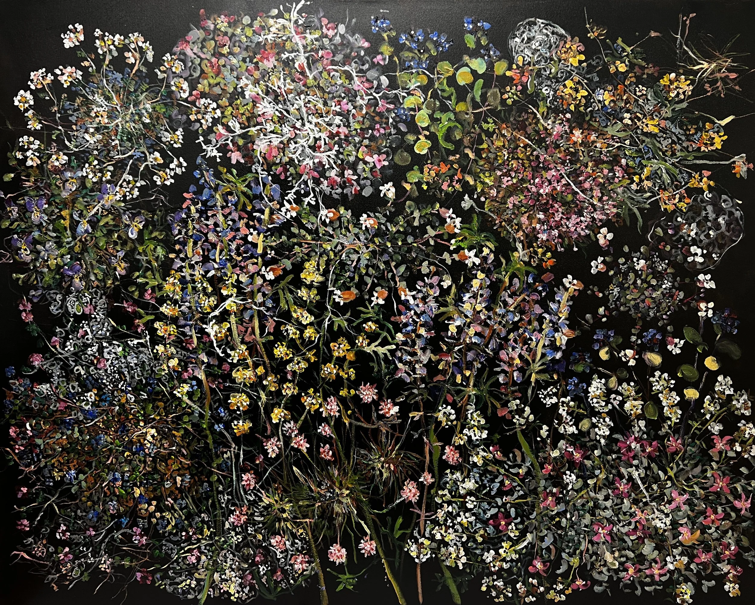 Various plants in highland and sand dunes