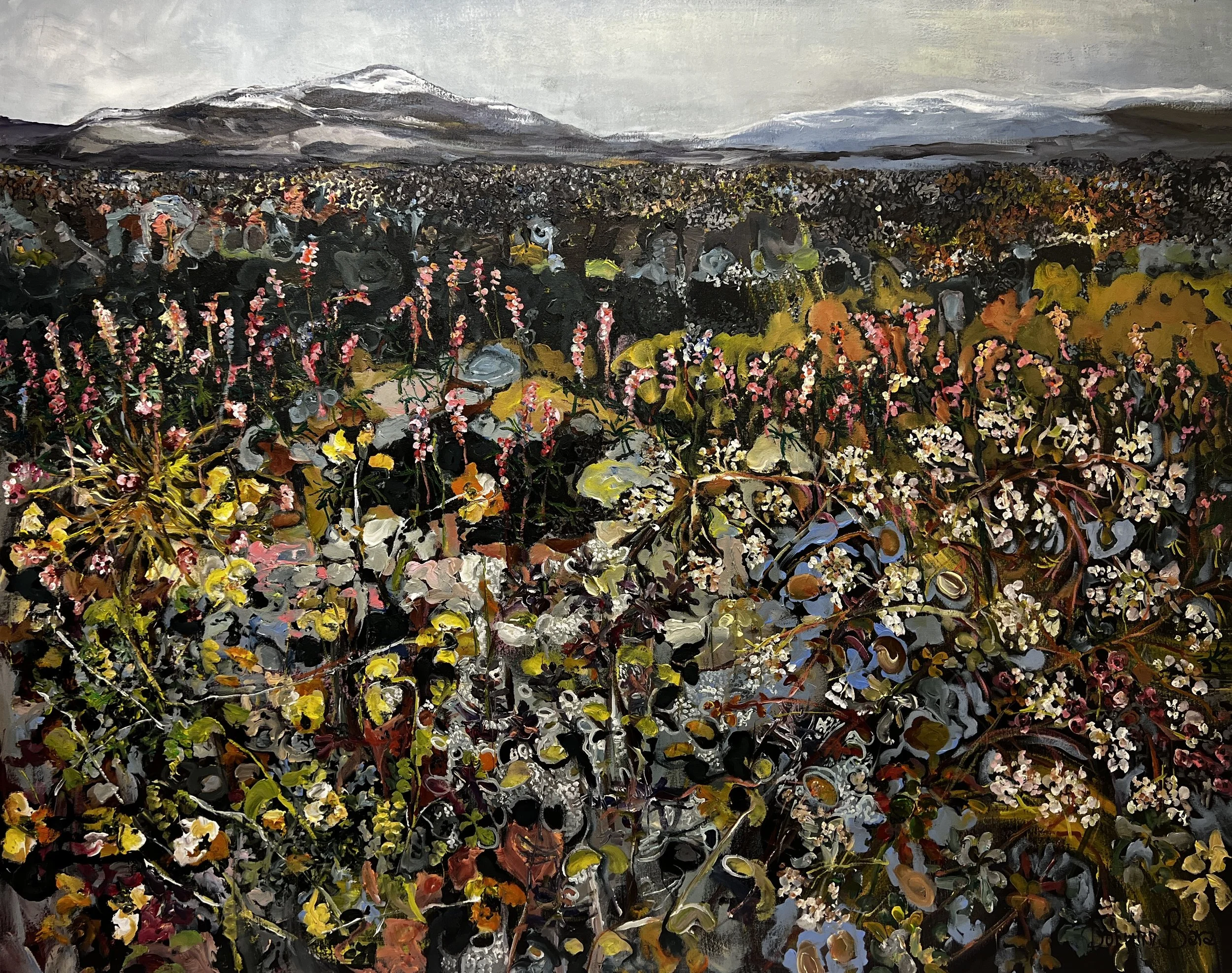 Plants in barren soil 