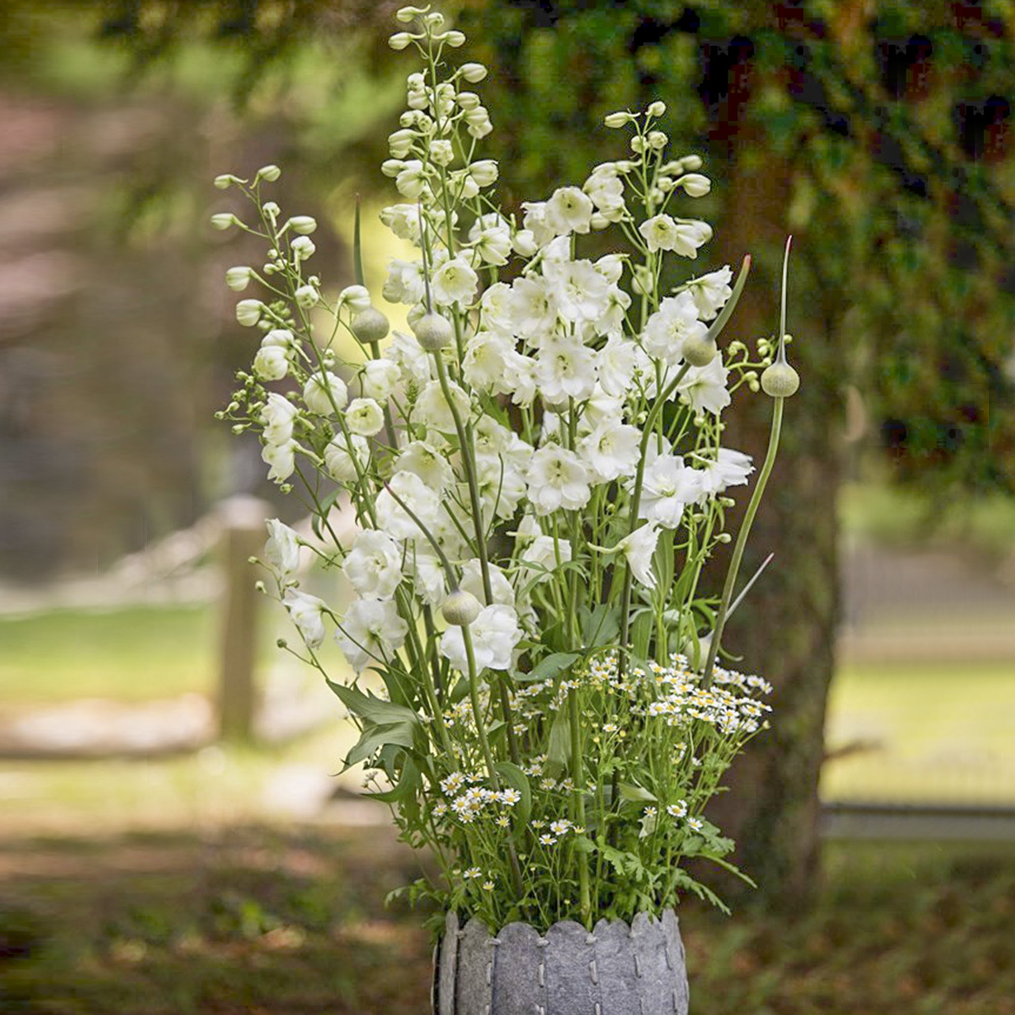 De Kracht van Bloemen- bloemen voor op het graf 6.jpg