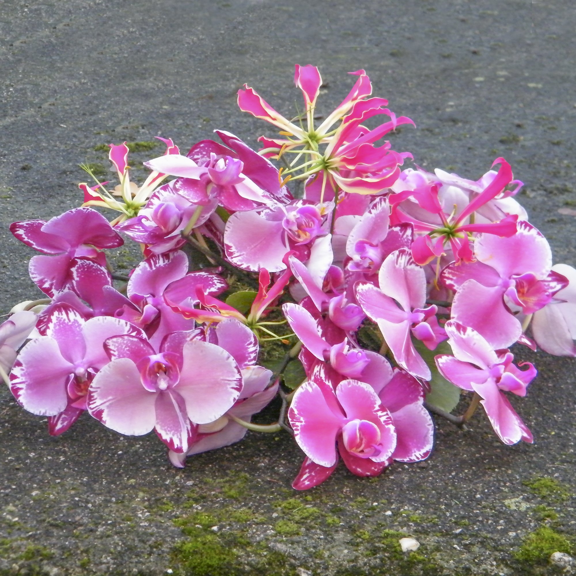 de Kracht van Bloemen- bloemen bij overlijden- afscheidsbloemen  26.jpg