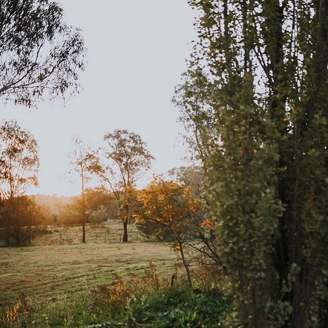 Each day you have a few jobs. The jobs are not like home... The horses need feed and you have to collect more firewood. It&rsquo;s cold out. Proper cold. And you notice the morning frost makes everything more artistic. Your footsteps create a winding