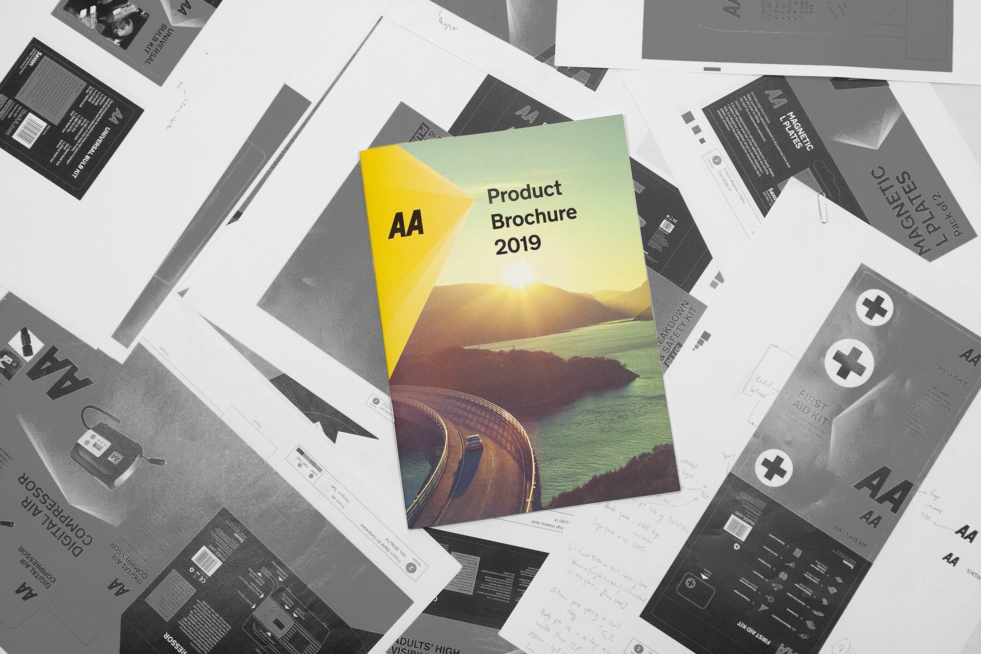 01 — AA Brochure