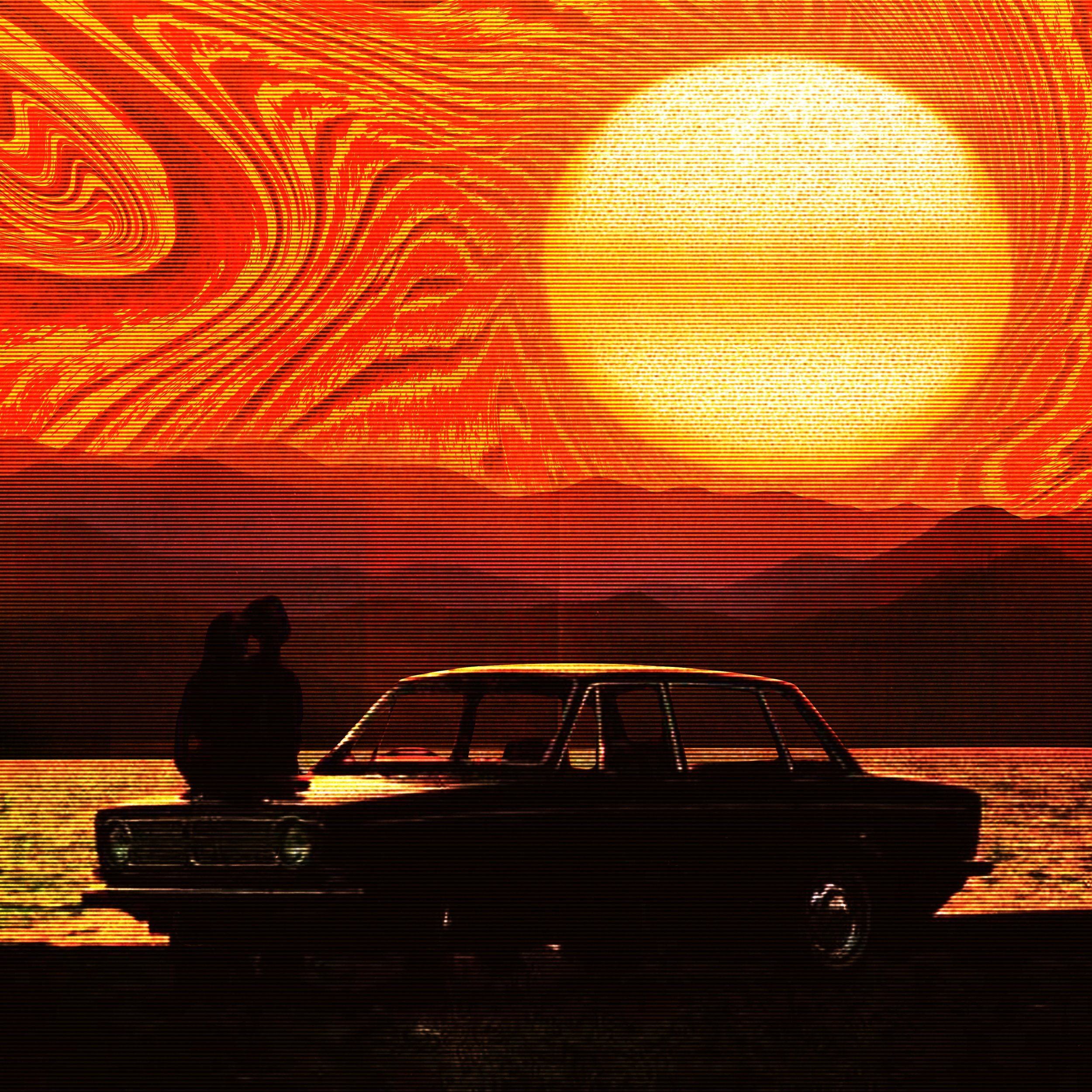 sun seekers.jpg