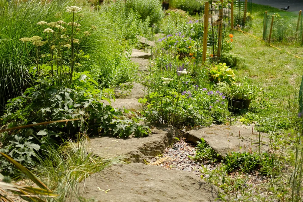 DSCF5911.JPG