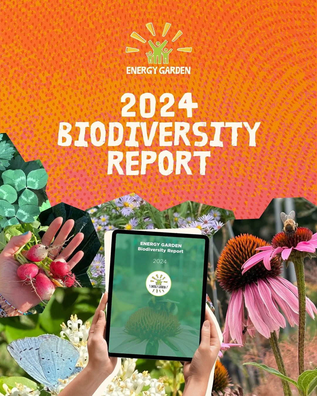 🌿✨&nbsp;Our 2024 Biodiversity Report is here!

From wildlife ponds and tree planting to moth nights and community science, we&rsquo;ve made our gardens greener and more biodiverse than ever before. 💚

👉 Swipe through for key highlights

We&rsquo;r