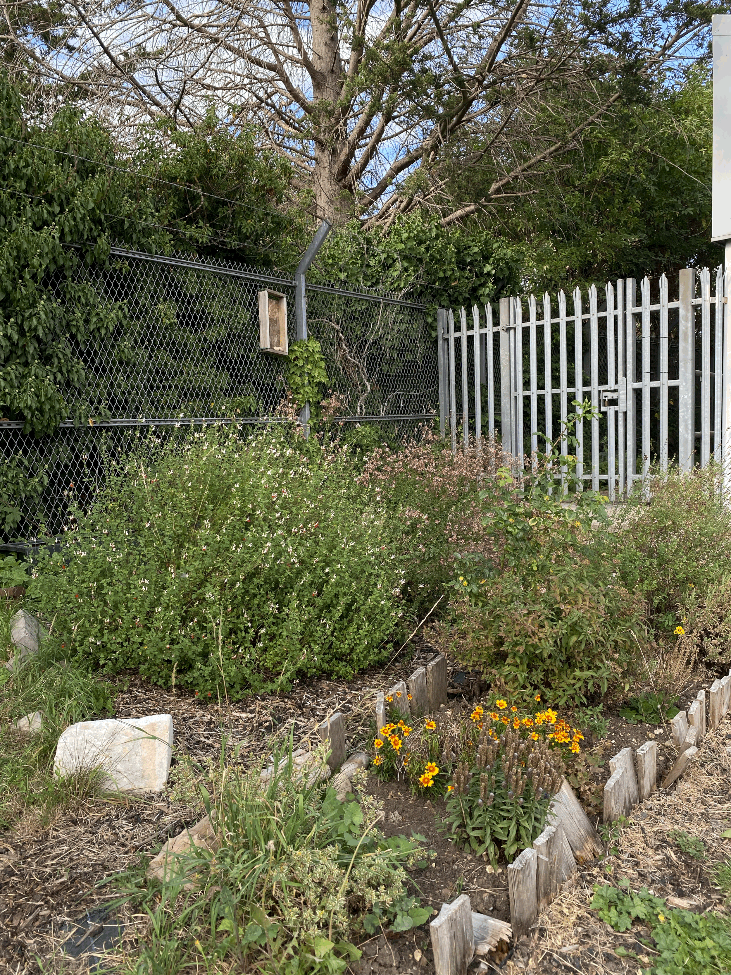 Boston Manor Consultation and Clean-Up