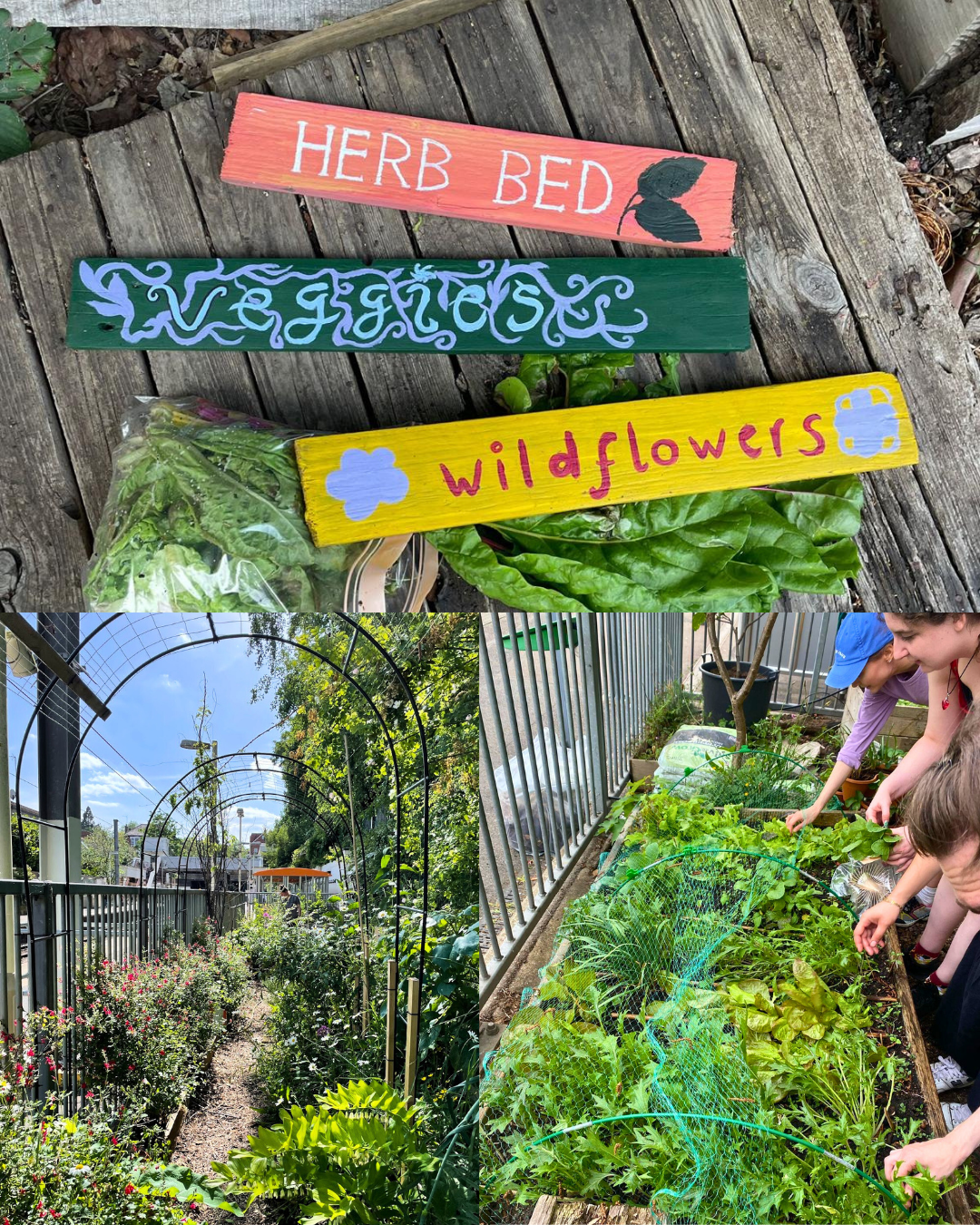 Hampstead Heath – 2.png