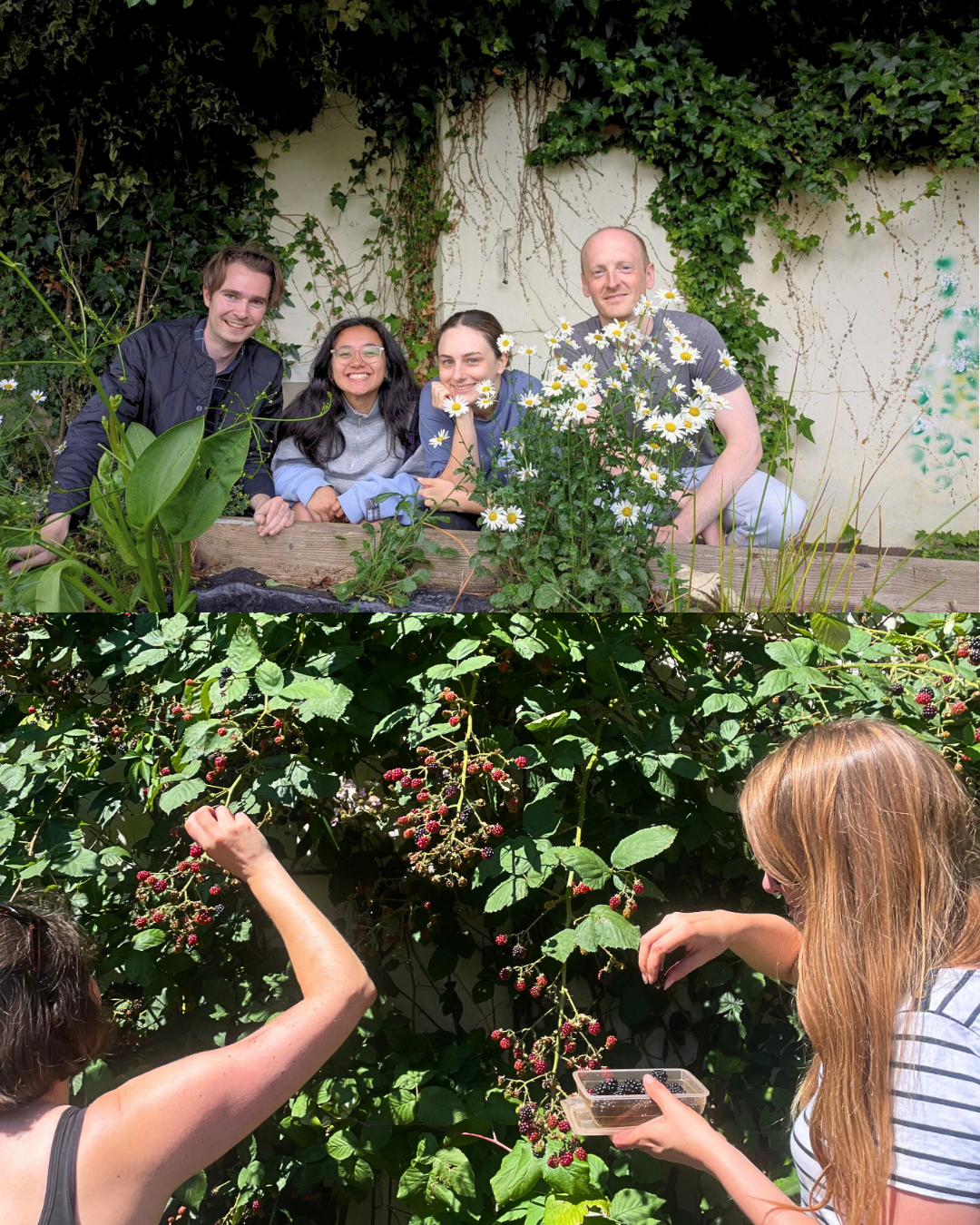 Hampstead Heath – 3.png