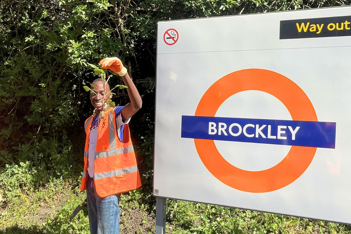 Brockley.png