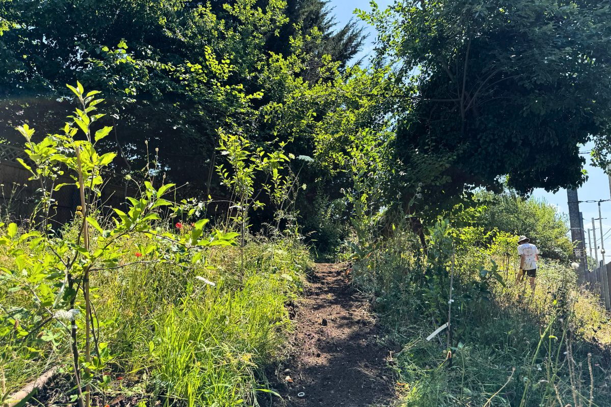 Brondesbury Park Orchard.png