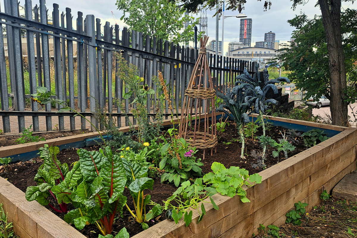 Willesden Junction.png