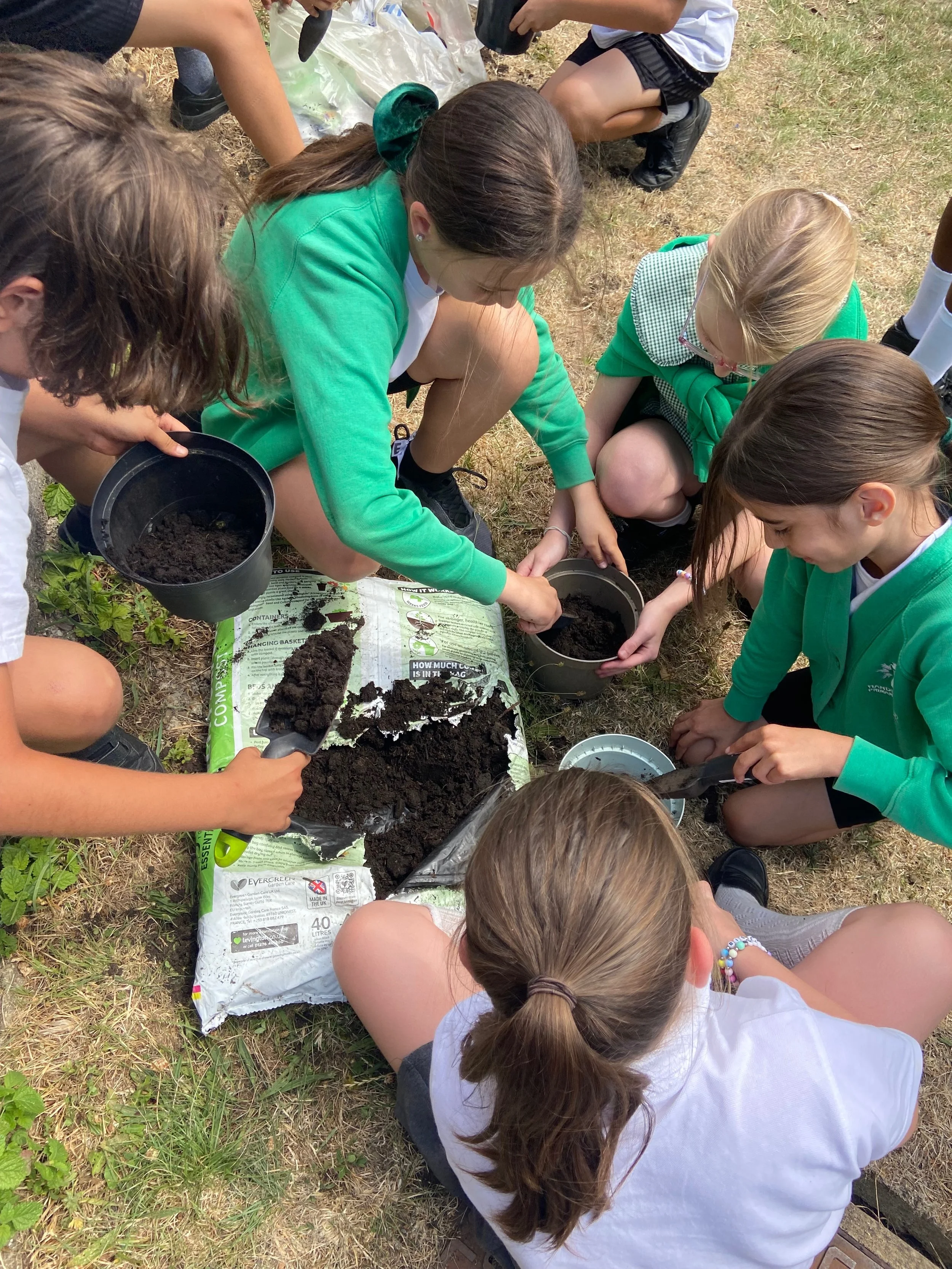Using compost to plant seeds in school garden.jpg