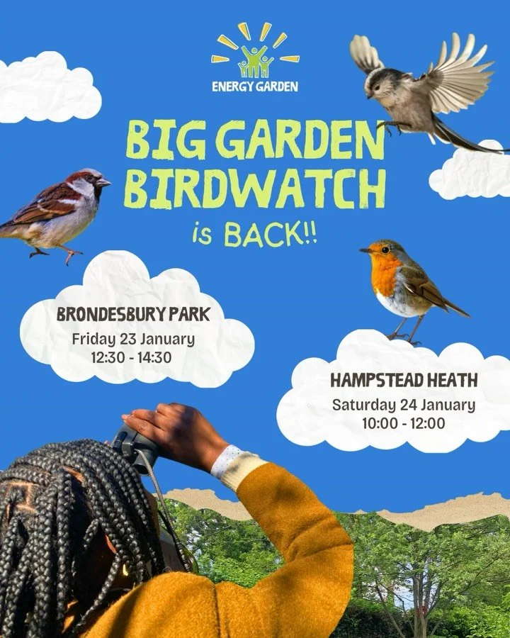 To beat the January blues, we&rsquo;re going birdwatching 🐦👀

Energy Garden is joining the&nbsp;RSPB&nbsp;Big Garden Birdwatch (the UK&rsquo;s biggest citizen science event) for the&nbsp;third year running!

Last year, our volunteers counted&nbsp;4