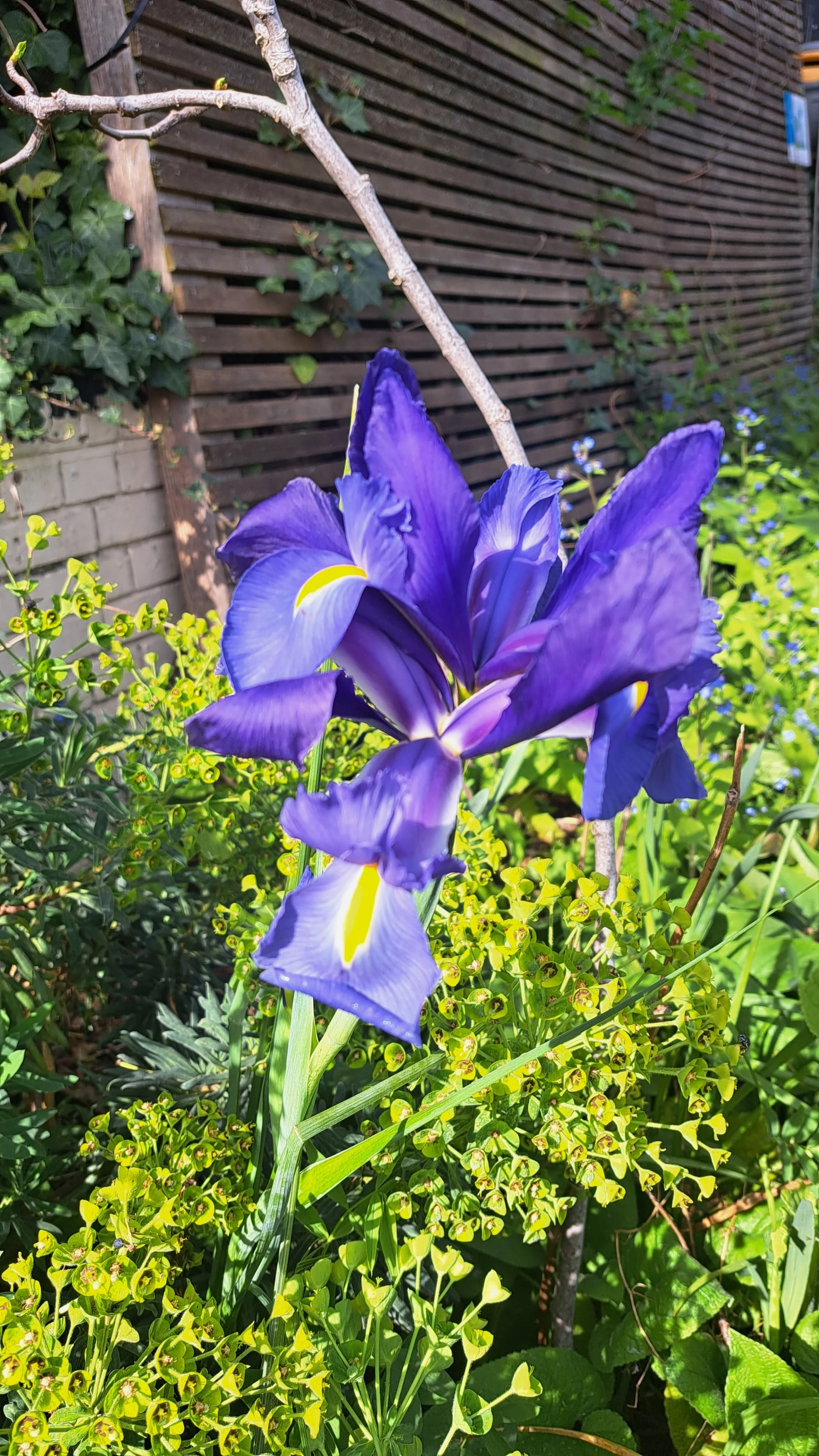 Spring Tour of West London