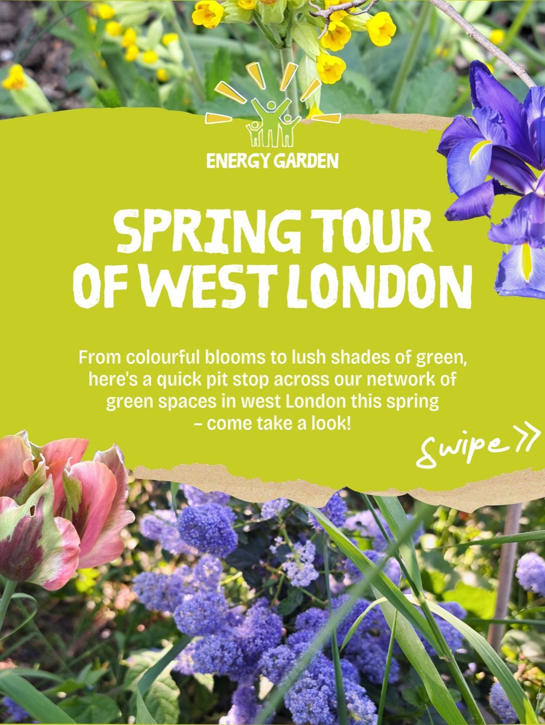 Mid-May in London, which means one minute it&rsquo;s sunshine, the next it&rsquo;s three layers and a raincoat&hellip; so yes, it&rsquo;s spring 🌿🌦️

This blog takes you on a tour of some of our west London green spaces. Our gardens are buzzing wit