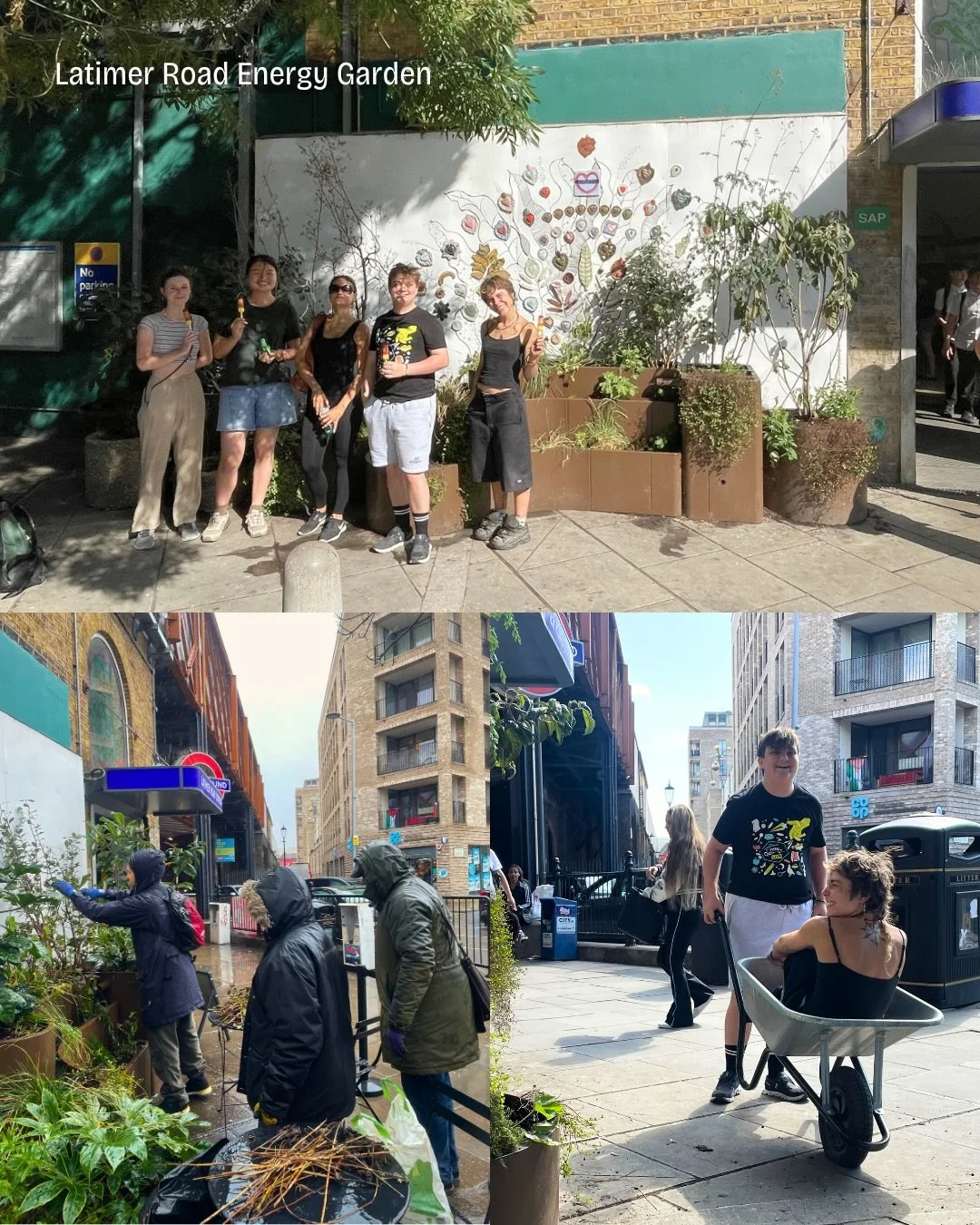 🍃Latimer Road Energy Garden is cared for monthly with volunteers from Ladbroke Grove 🌱

Since its installation in 2023, the planters have filled out beautifully and the space is looking healthier than ever.

🏆 A growing community-led garden delive