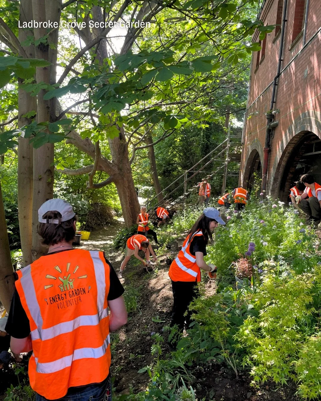 🤫 Affectionately known as &ldquo;The Secret Garden&rdquo;, Ladbroke Grove Station Garden is a 300m&sup2; green oasis tucked behind the station 🚆🌳🍃

Once a strip of disused railway land, it&rsquo;s now being transformed into a thriving community s