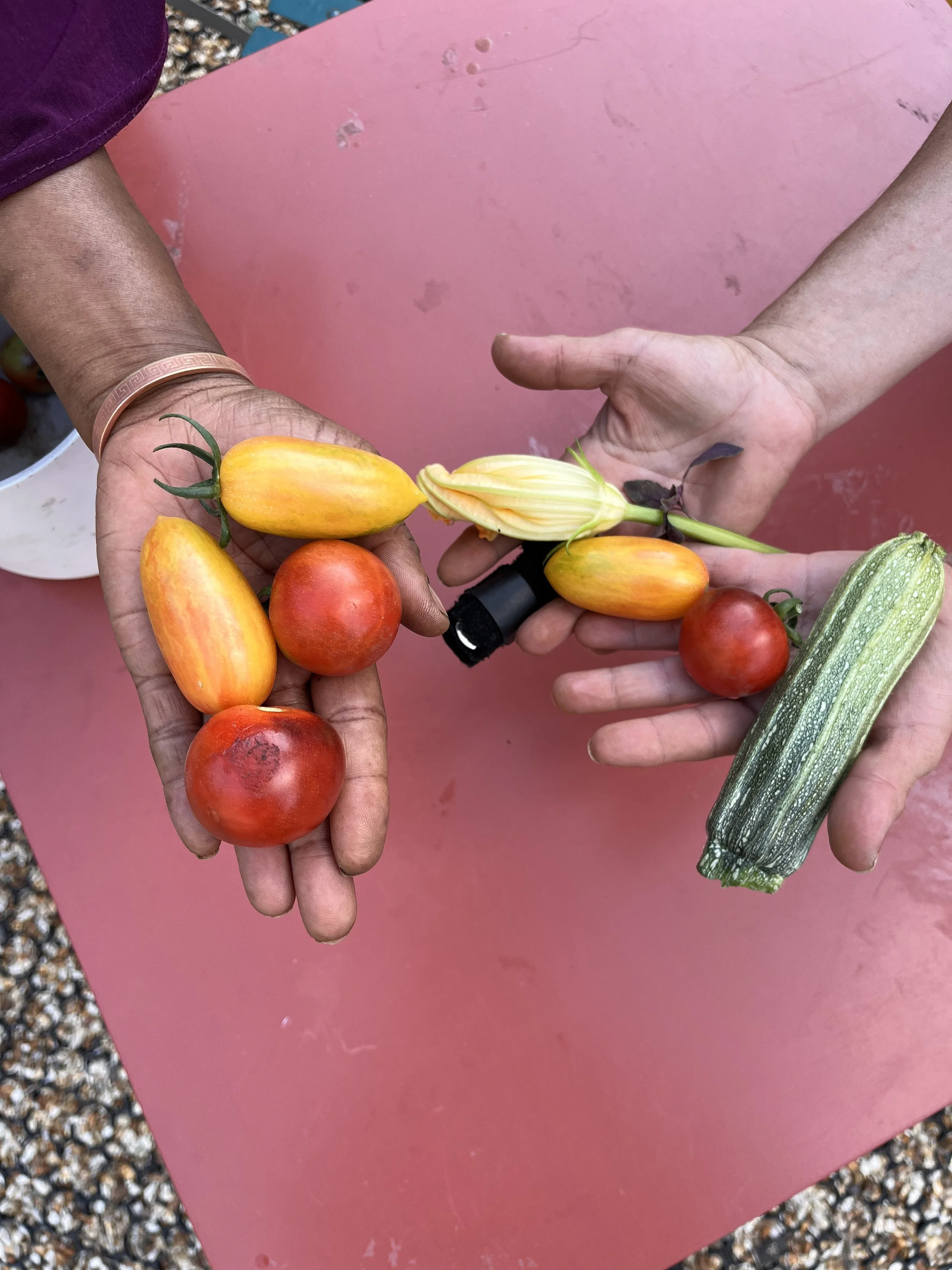 Summer Notes from the Gardens