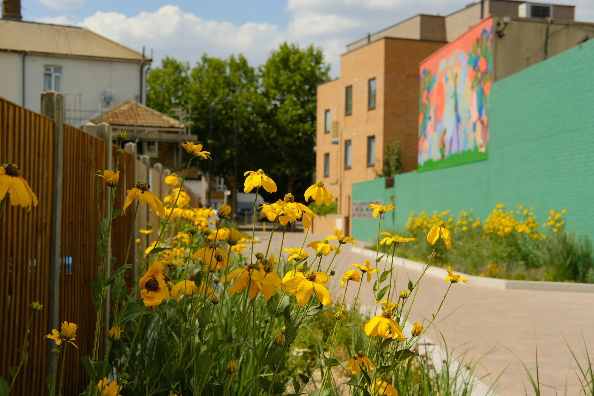 Exploring London’s Future Biome Through Climate-Resilient Planting at Church Path