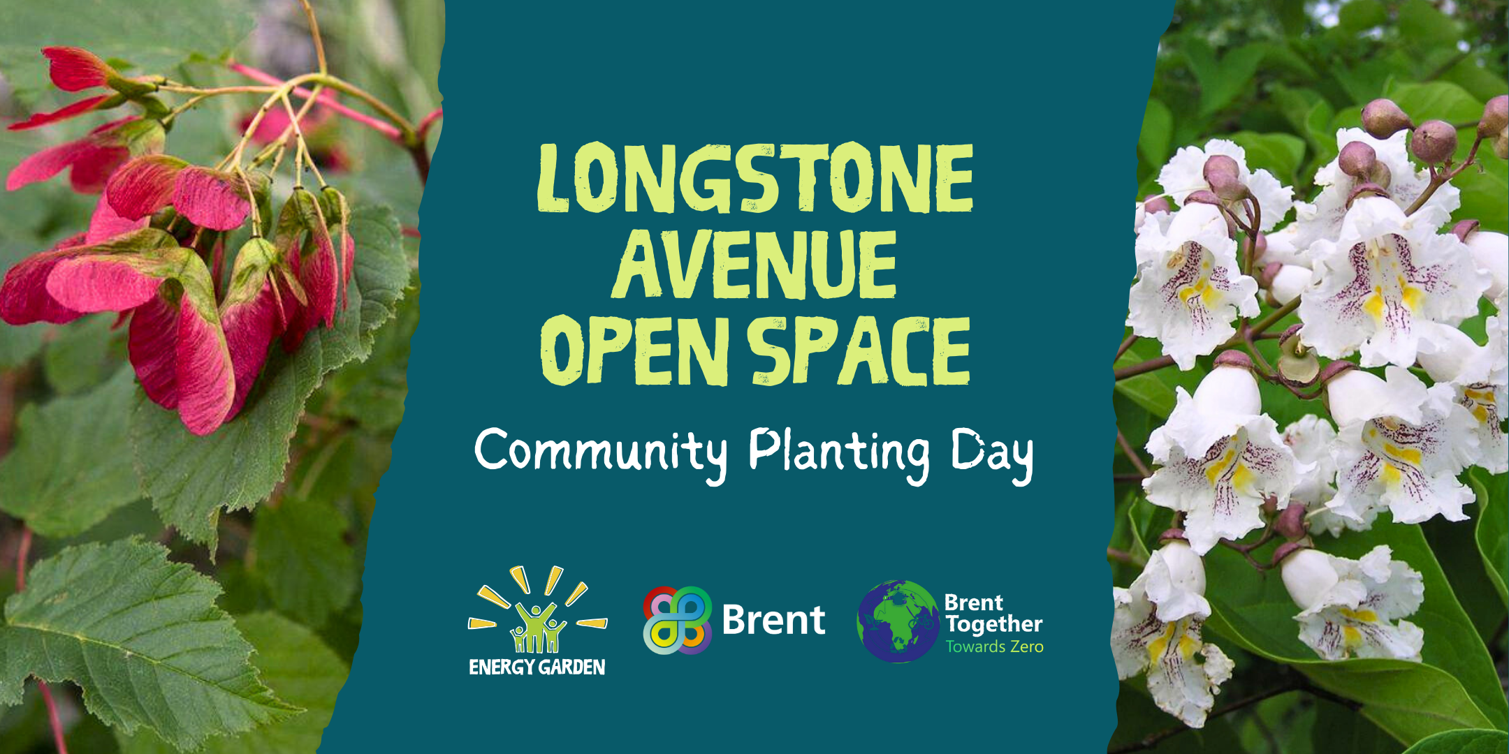 Longstone Avenue Open Space Community Planting Day