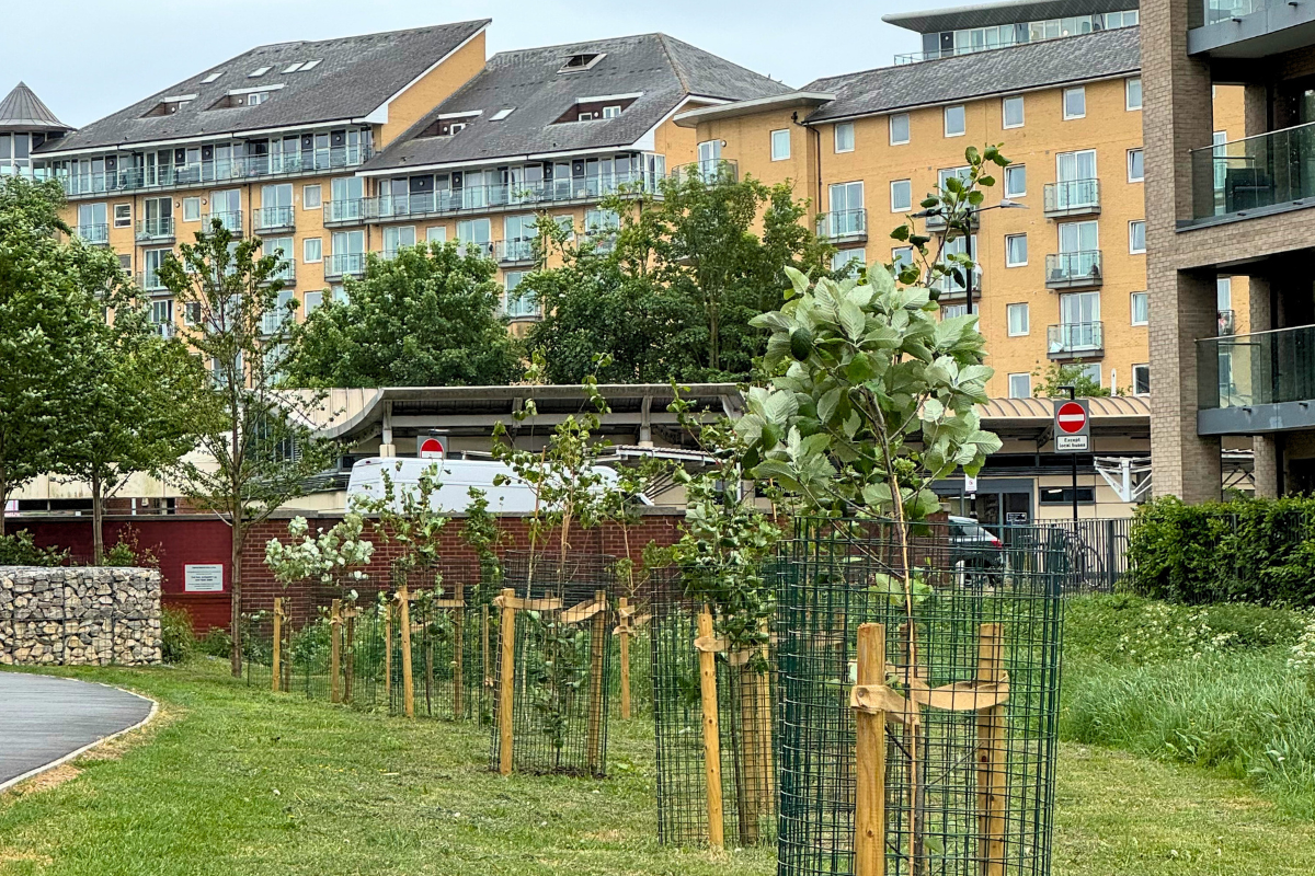 Longford River Grove.png