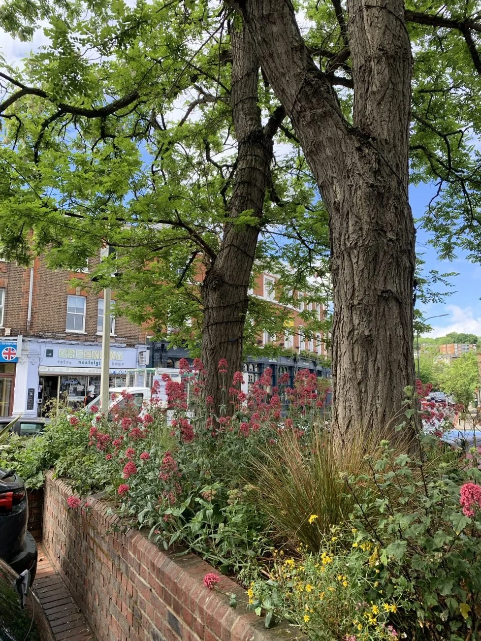 Forest Hill — Energy Garden