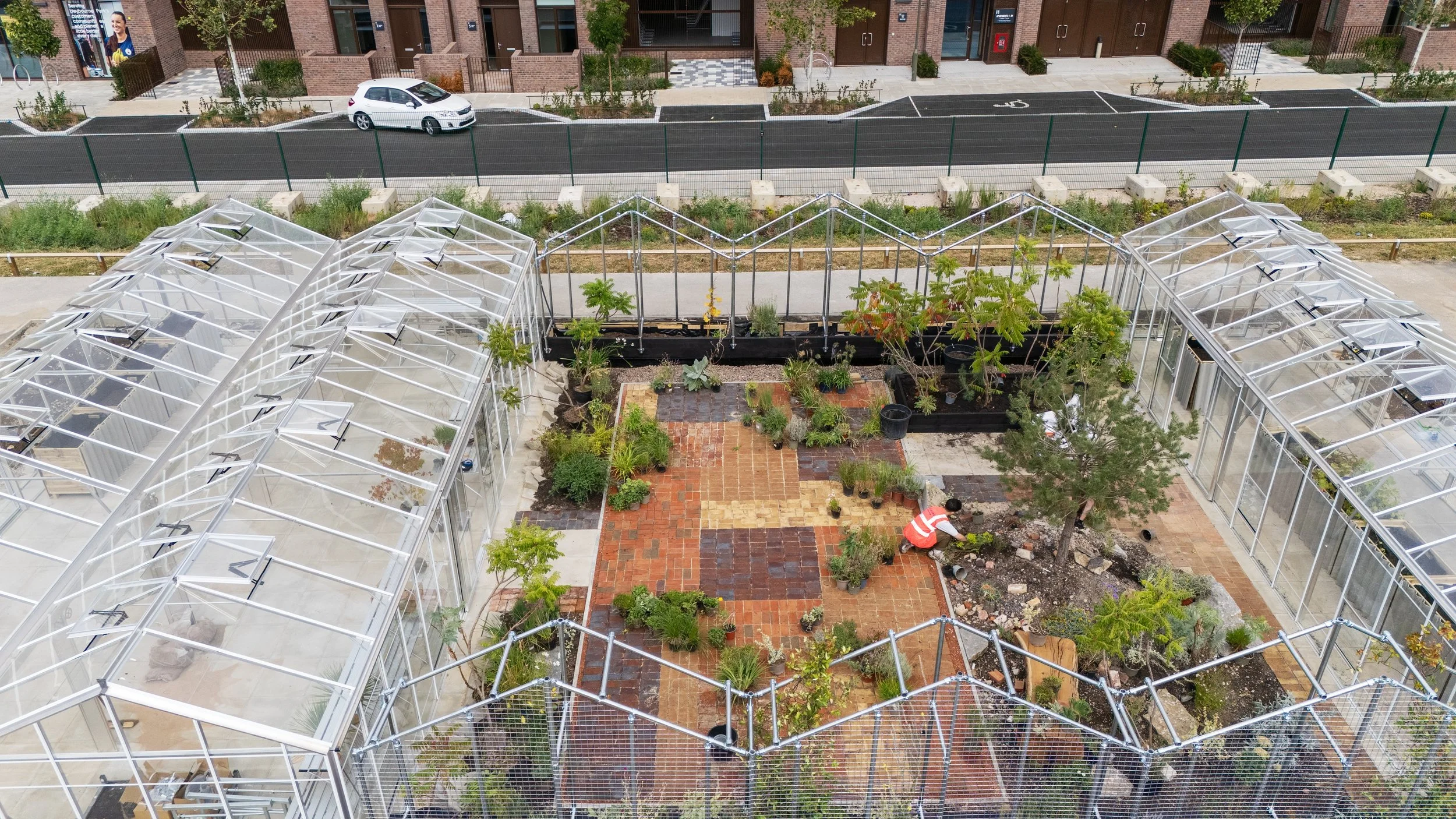 Colindale Gardening Session