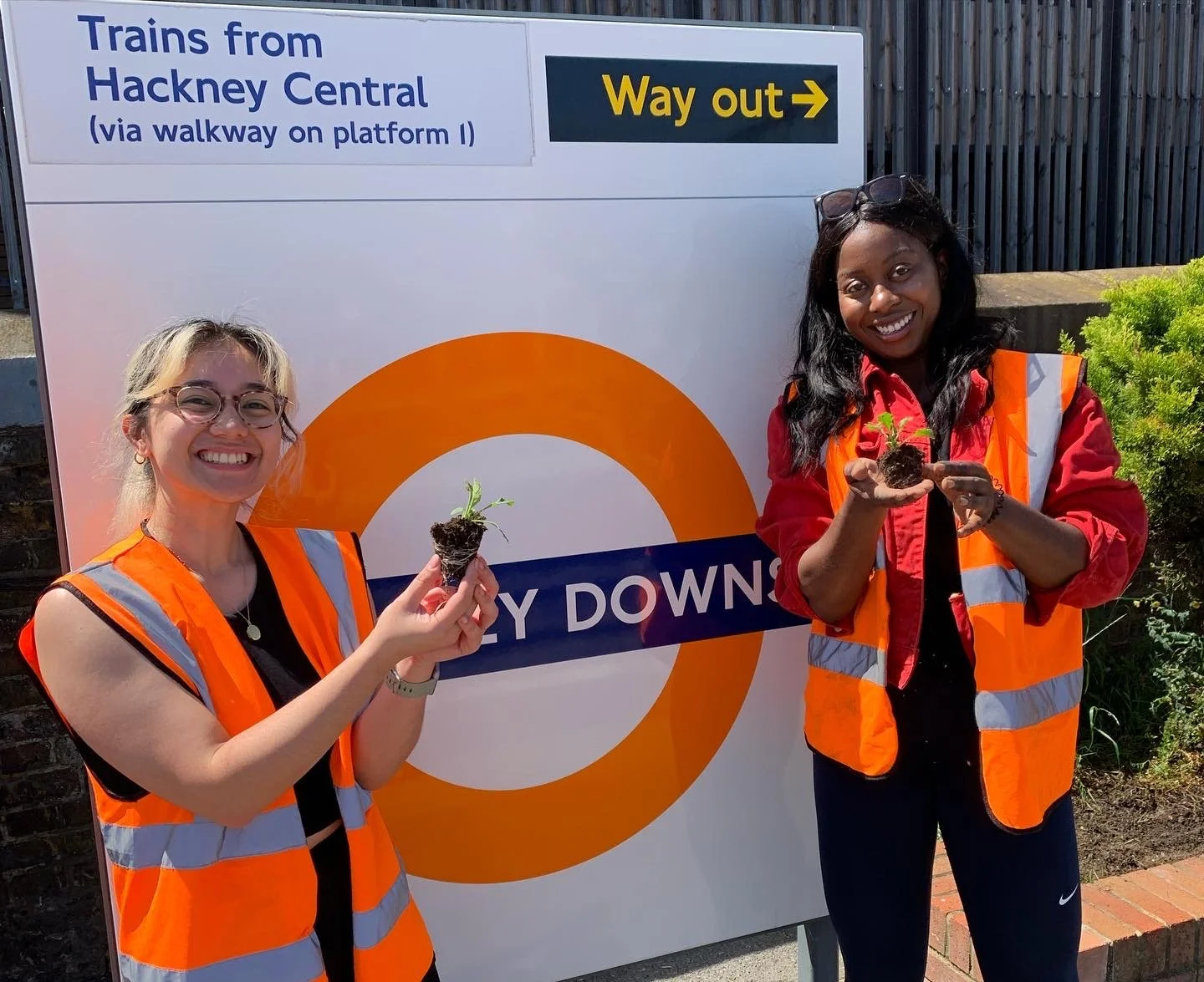 Hackney Downs — Energy Garden