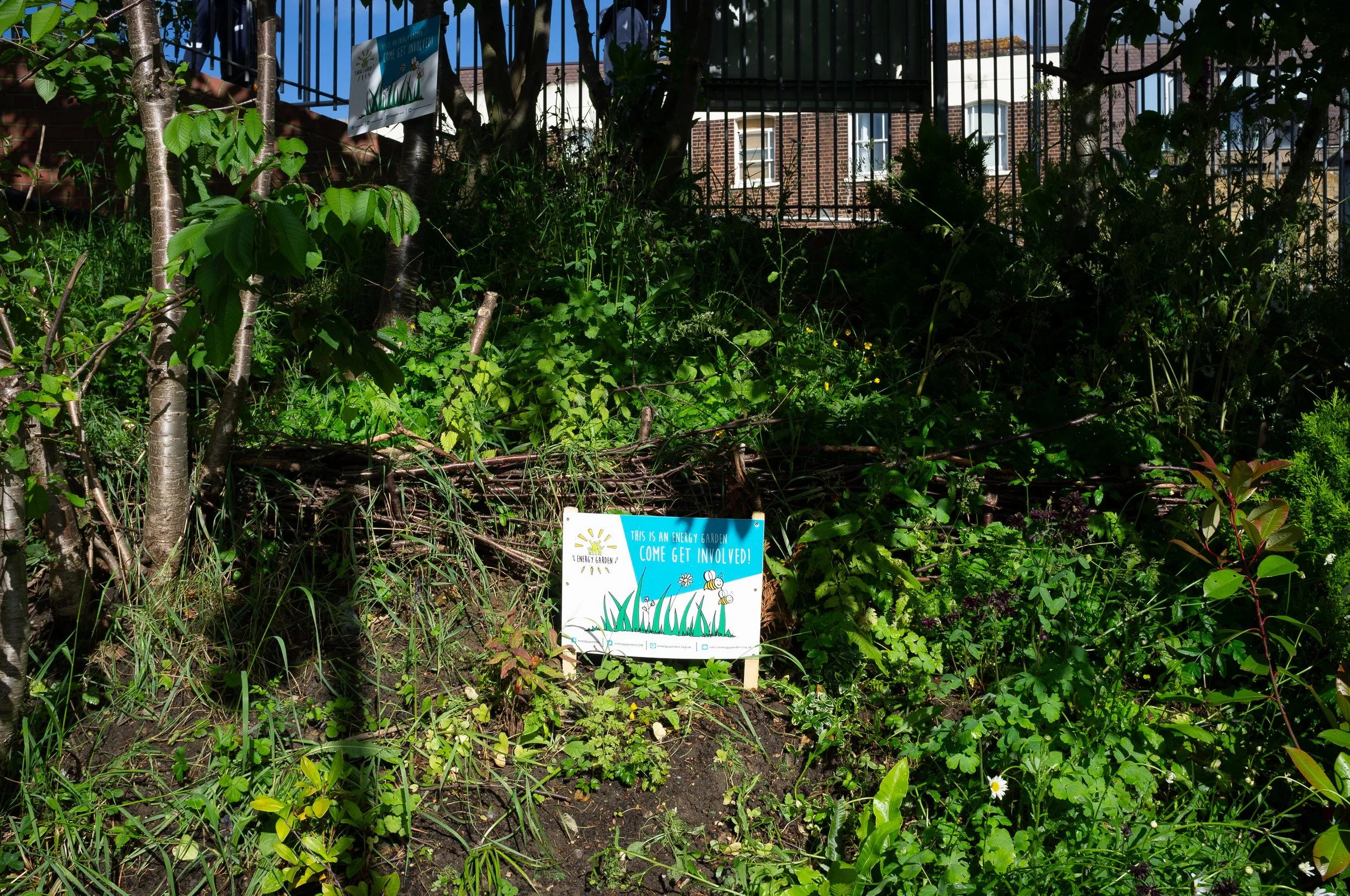 DSCF1890.jpg