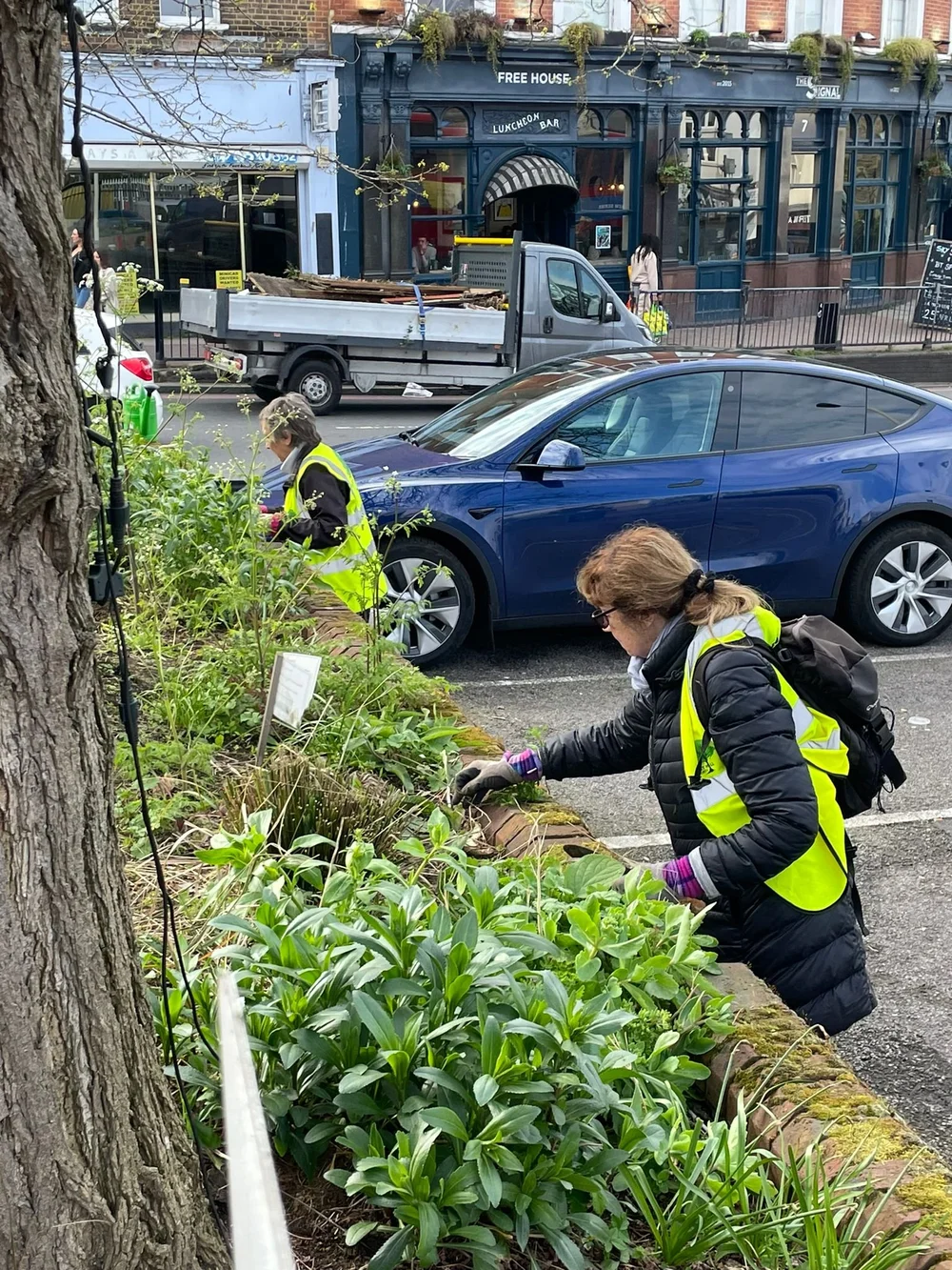 Forest Hill — Energy Garden