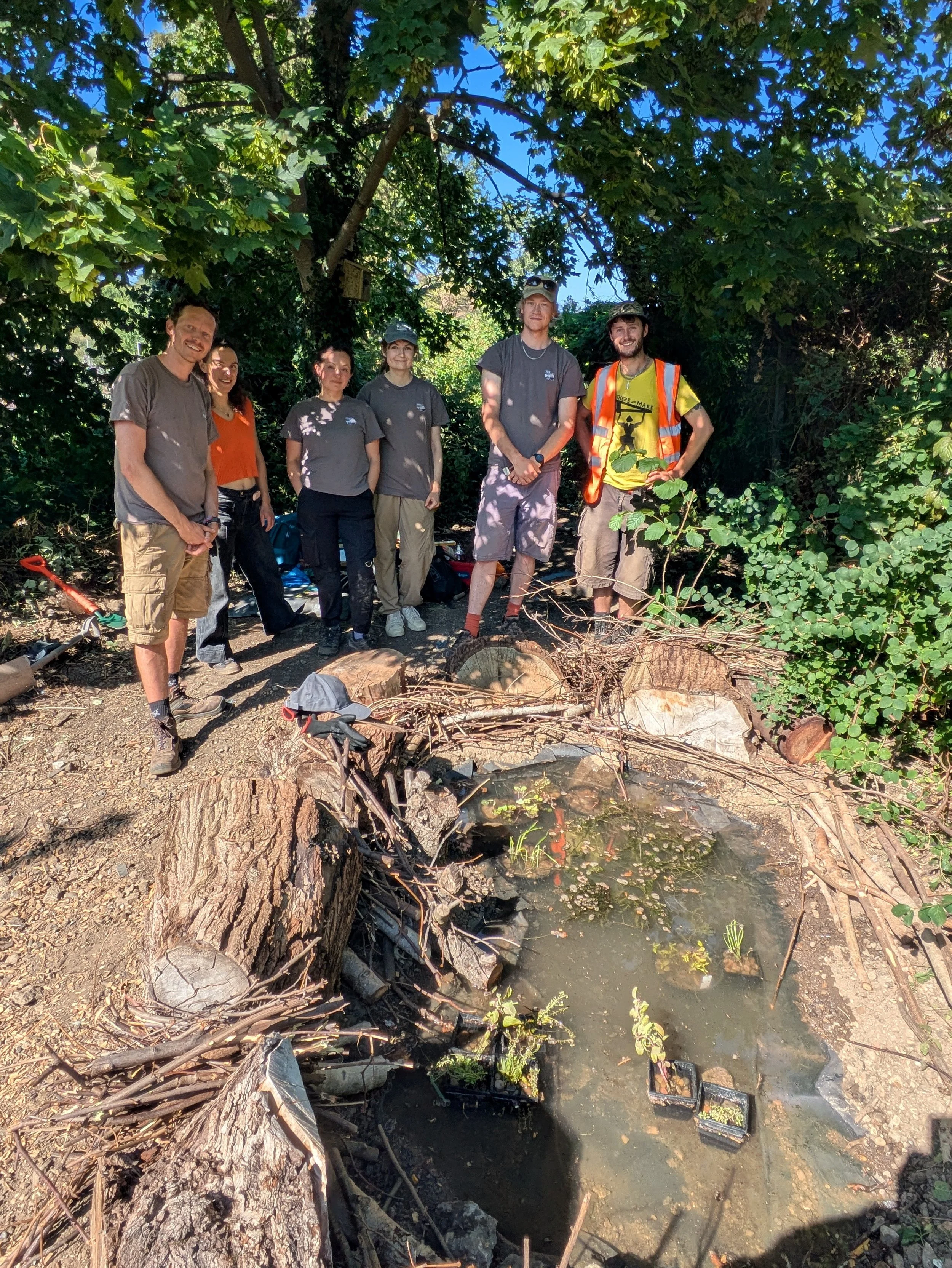 Making Space for Amphibians at Honor Oak Park