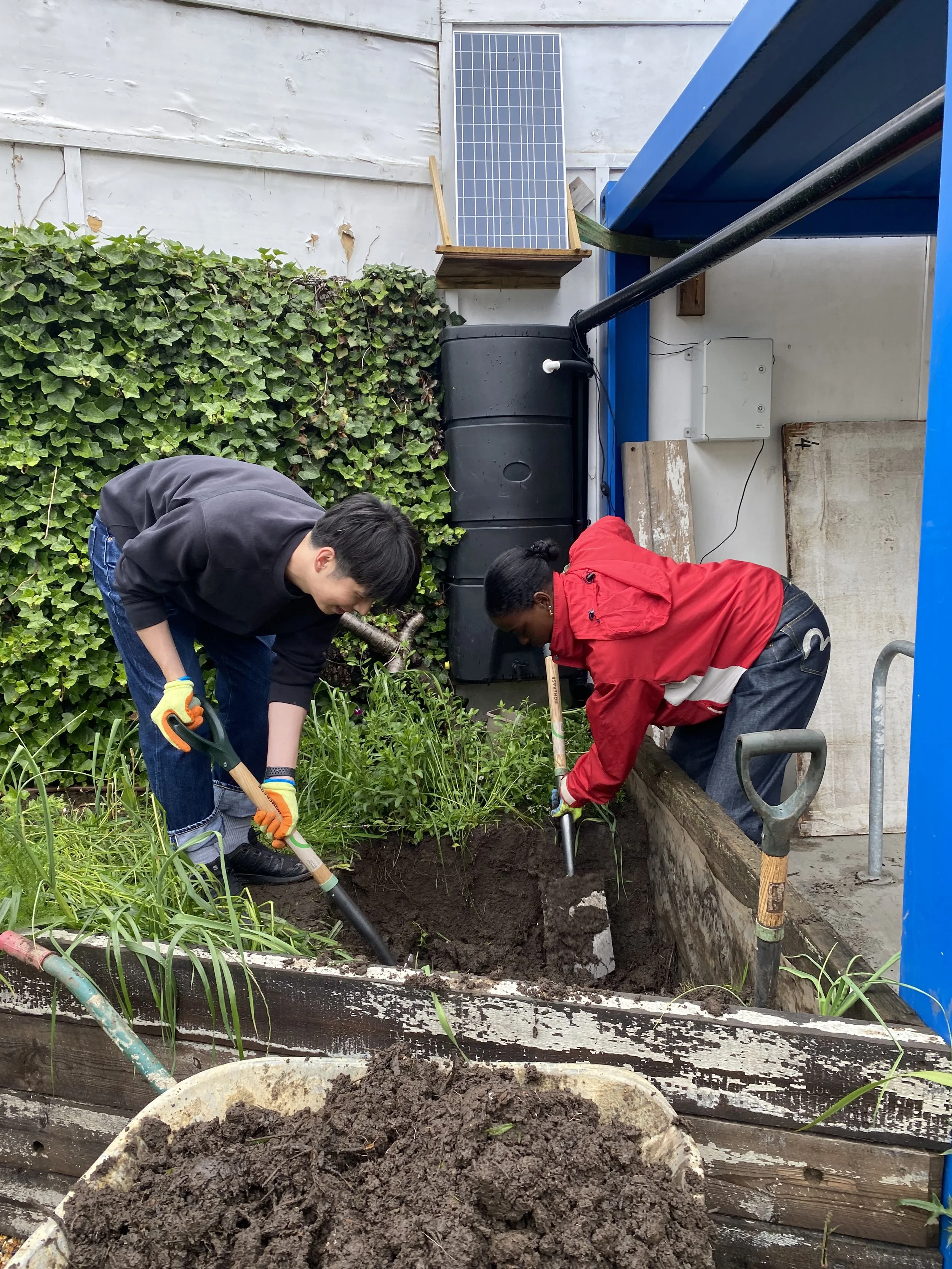 Two people working in a garden bed, digging and turning soil. One person is wearing a black hoodie and gloves, the other is wearing a red jacket and gloves.