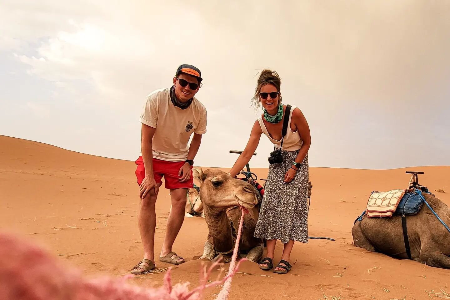 Just came back from the Sahara desert!

We swapped our bicycles for a 4x4 and @lover_of_sahara drove us over 130 kilometers into the sandy dunes in the middle of the desert.

It was not only our first time in the Sahara, but also our first time ridin