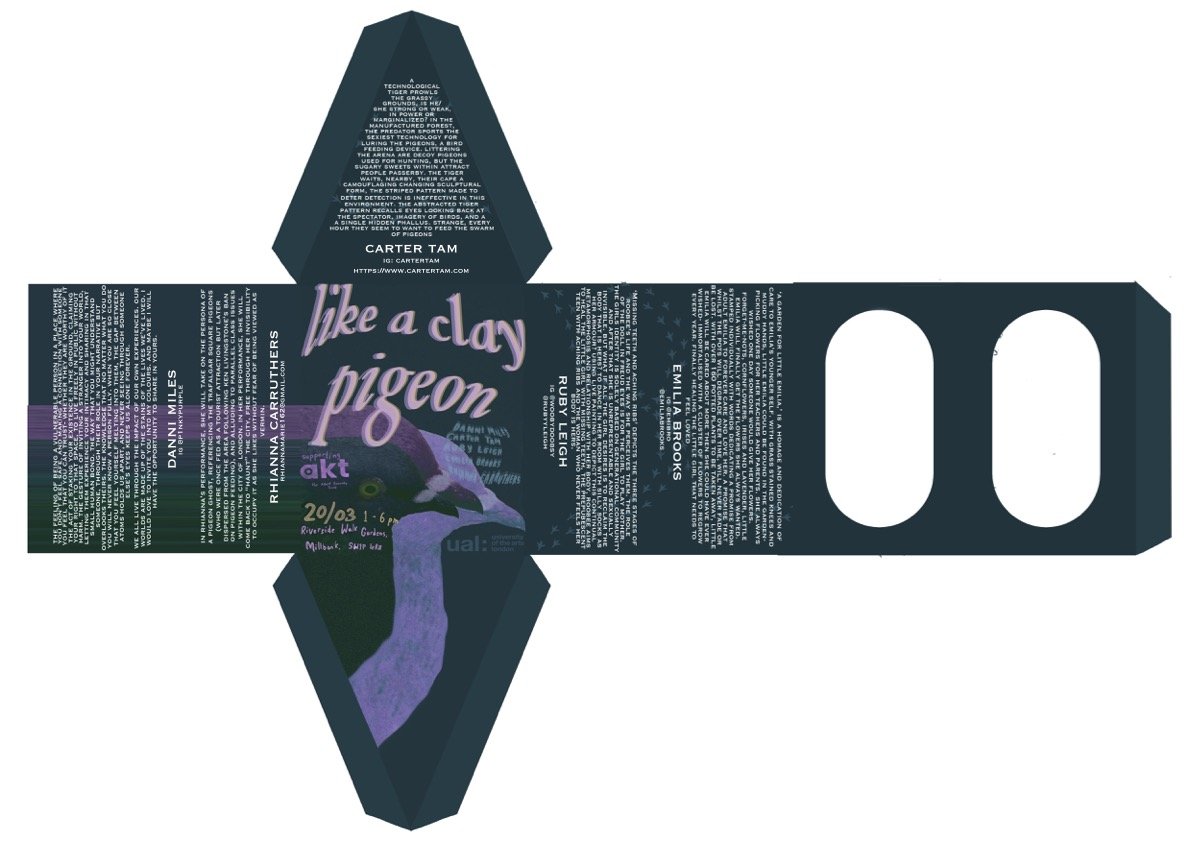 Pigeon Box Net.jpg