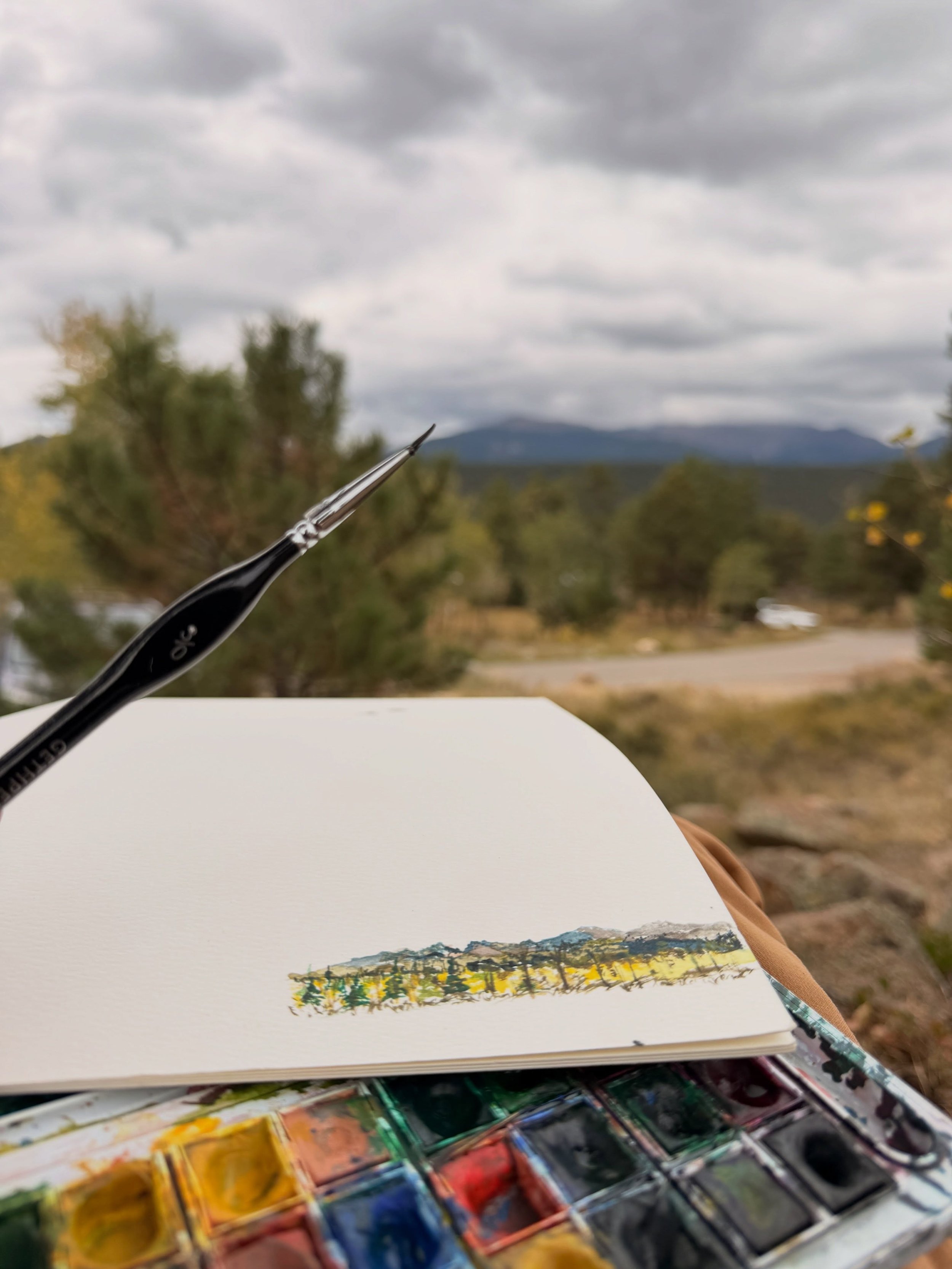 ✑ rocky mountain plein soon to be pendants + some family hike and lunar halo ice crystals 
#estespark #watercolor #psalm150