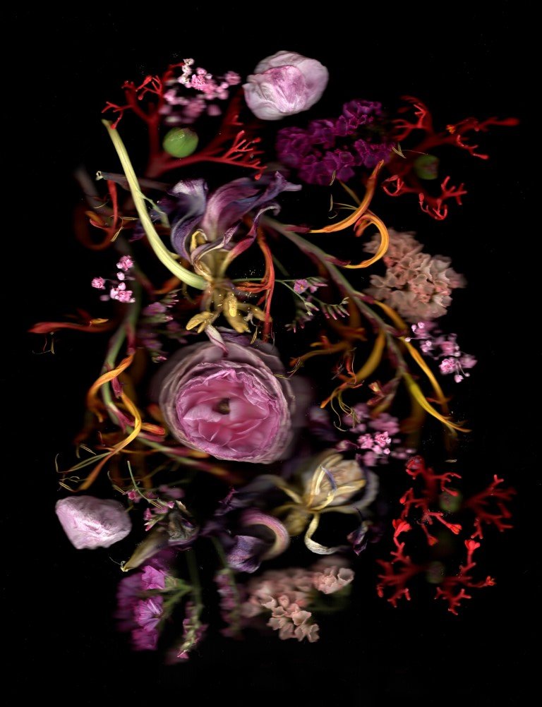 abonnement1 (Medium).jpg