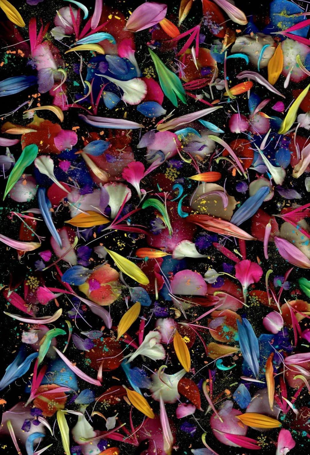 kleurrijkblaadjeslaagjes (Large).jpg